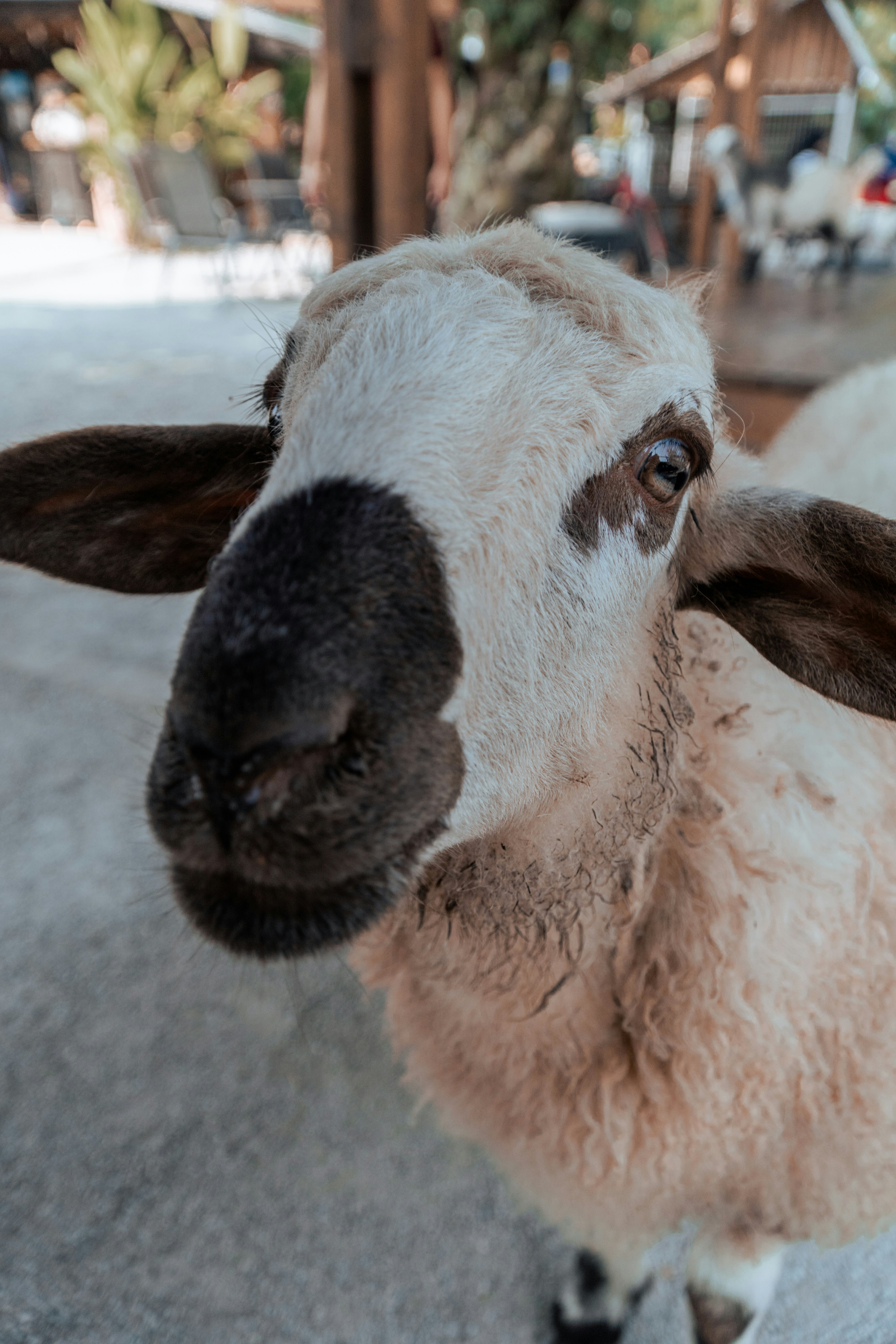 Photo by mynameisiknow