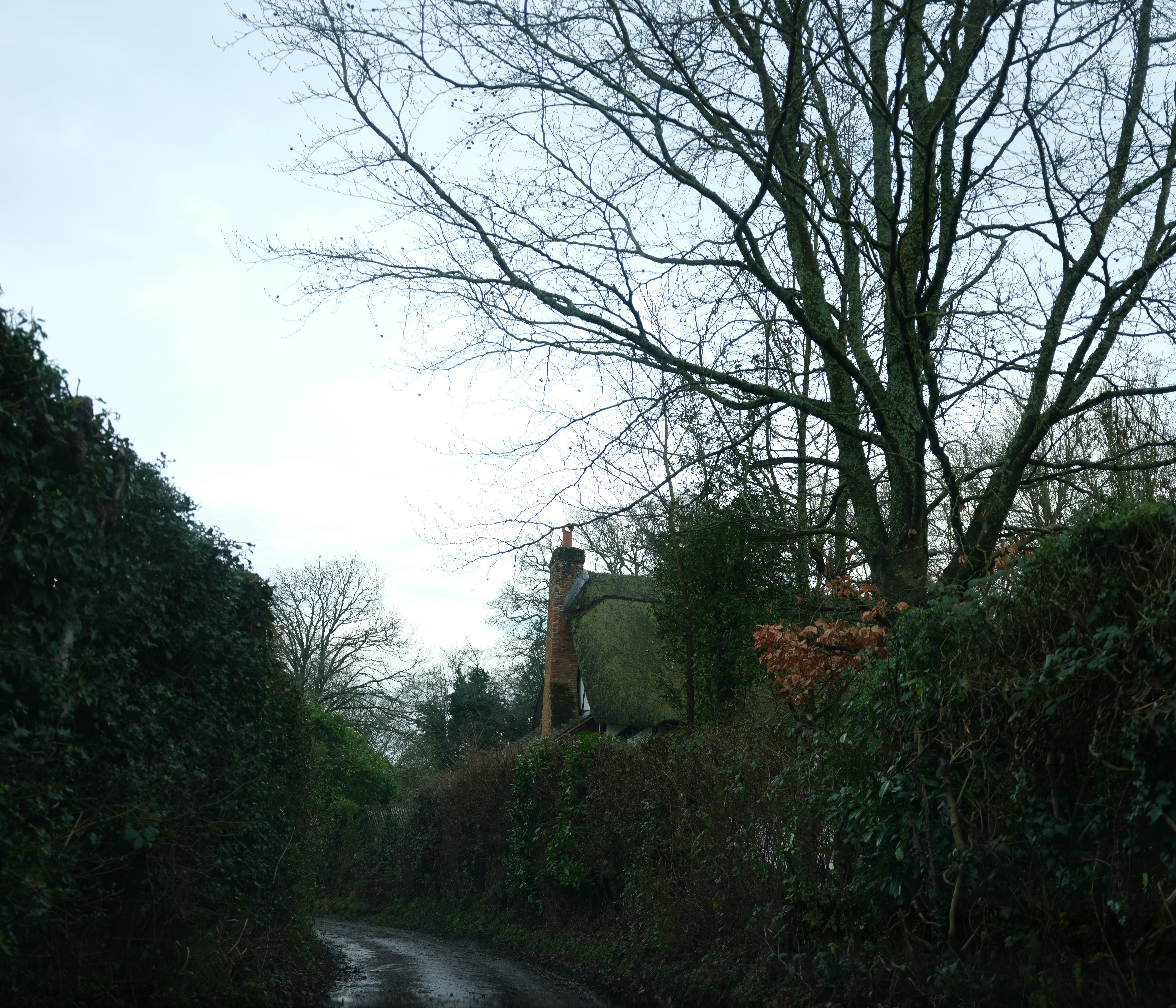 Photo by tanyabarrow