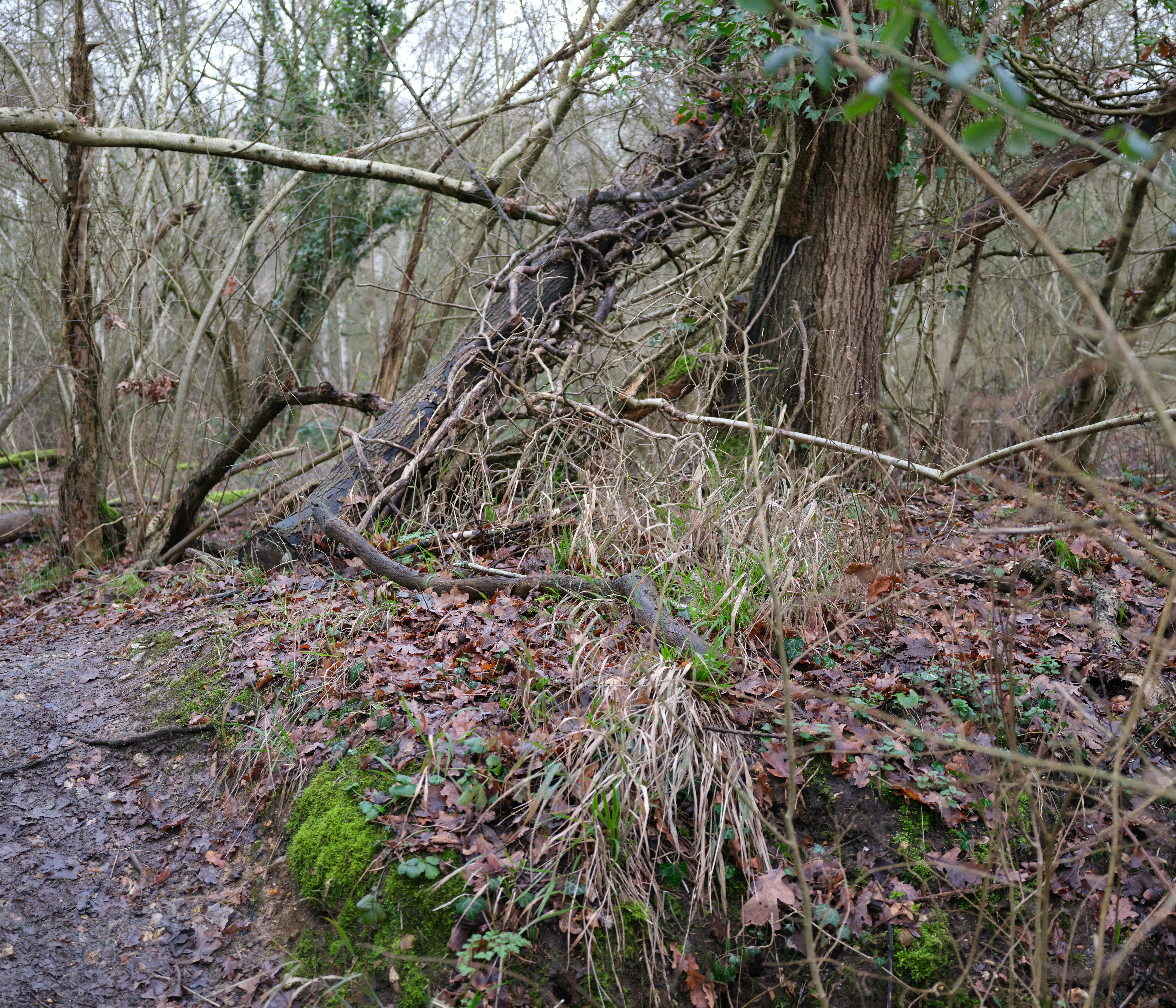 Photo by tanyabarrow