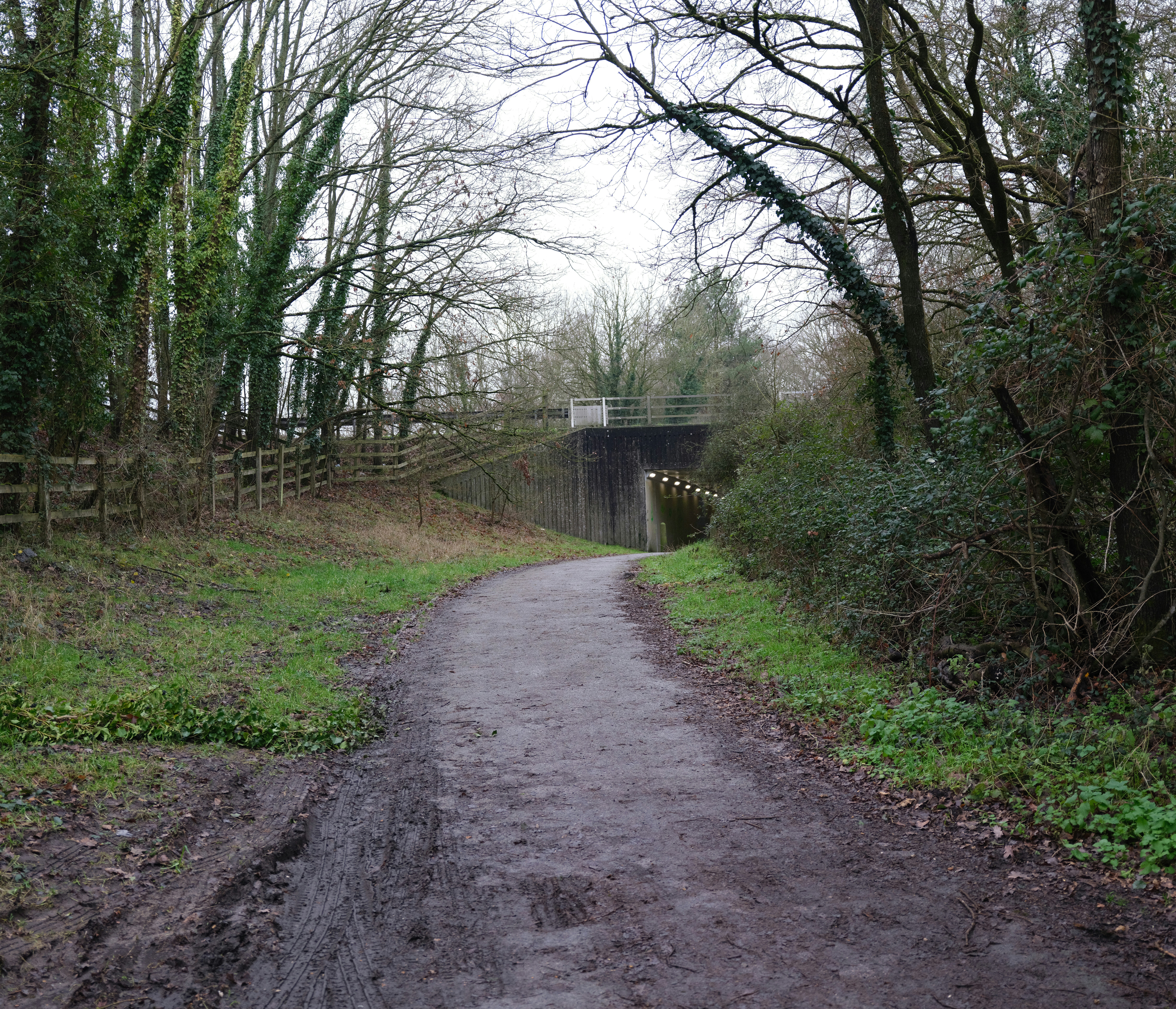 Photo by tanyabarrow