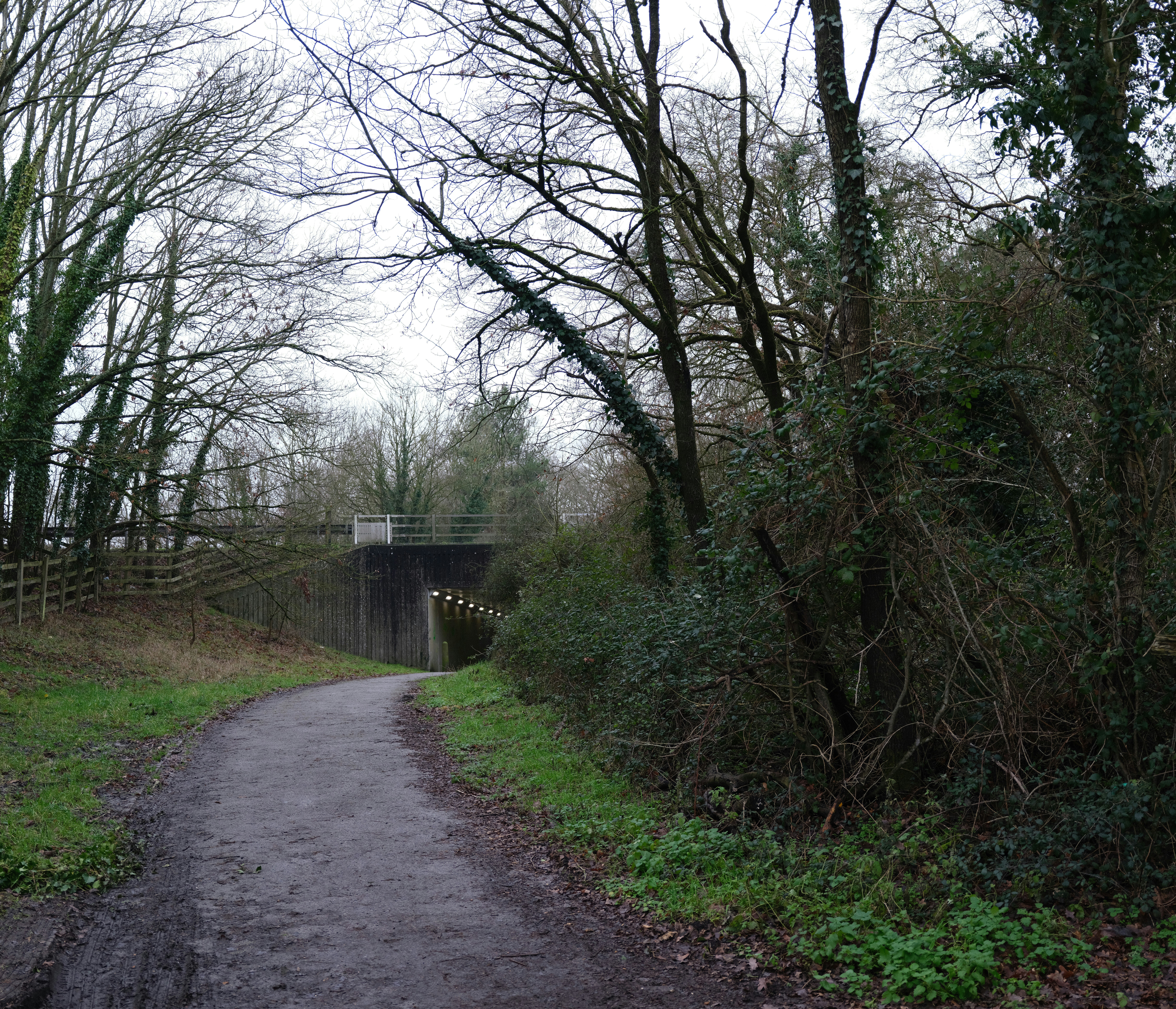 Photo by tanyabarrow