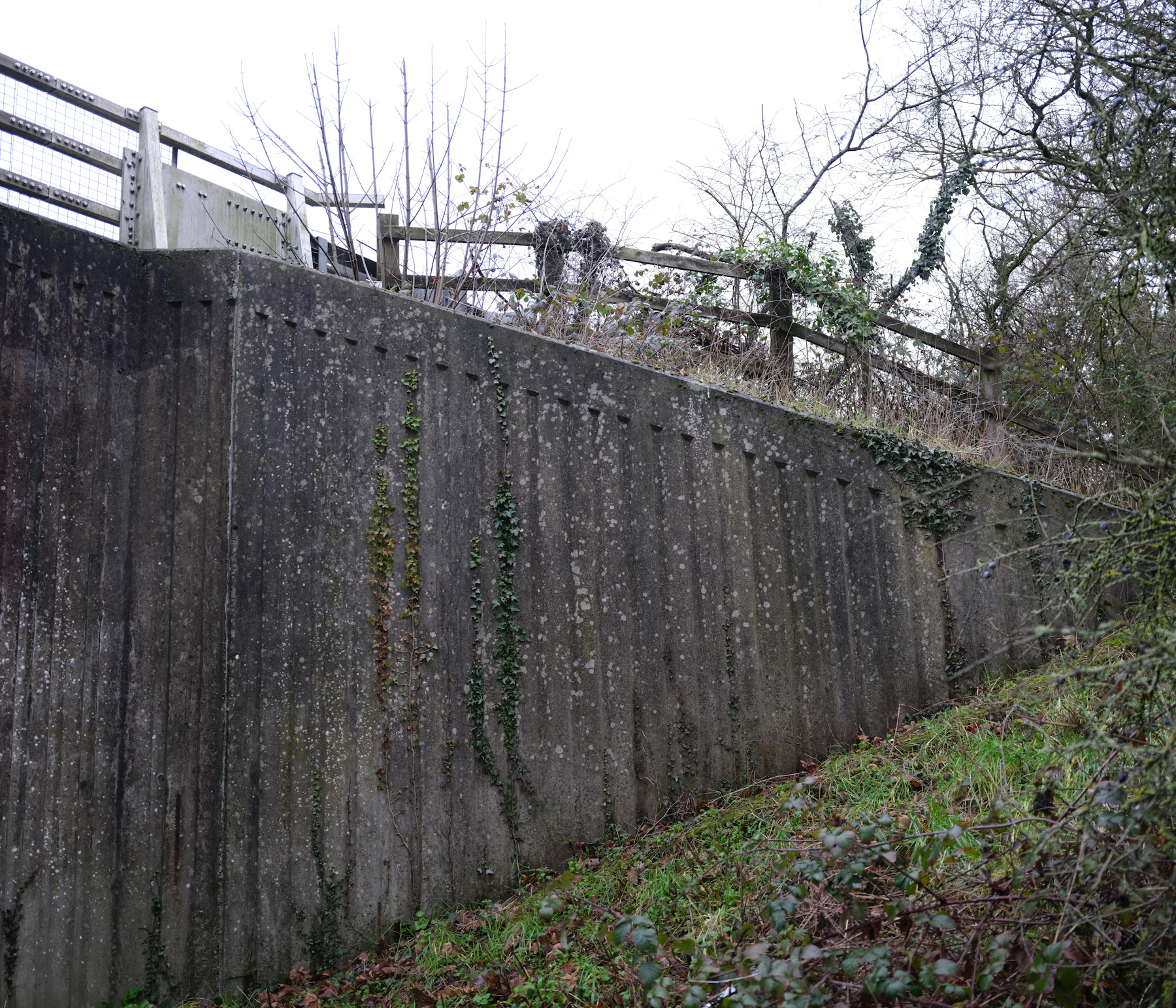 Tall textured concrete retaining wall holding a steep overgrown grade change