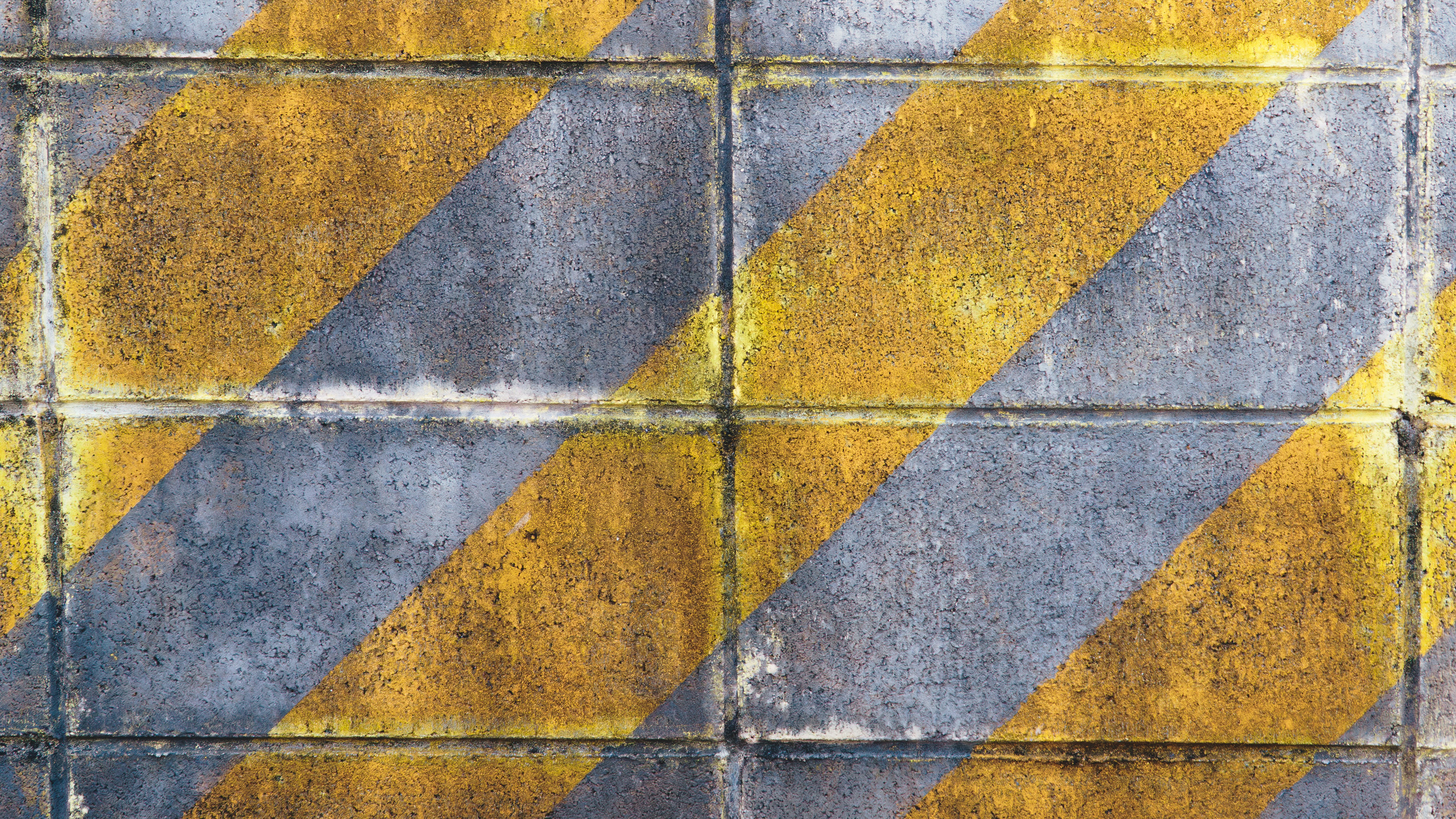 Photo by taiga_miyamoto