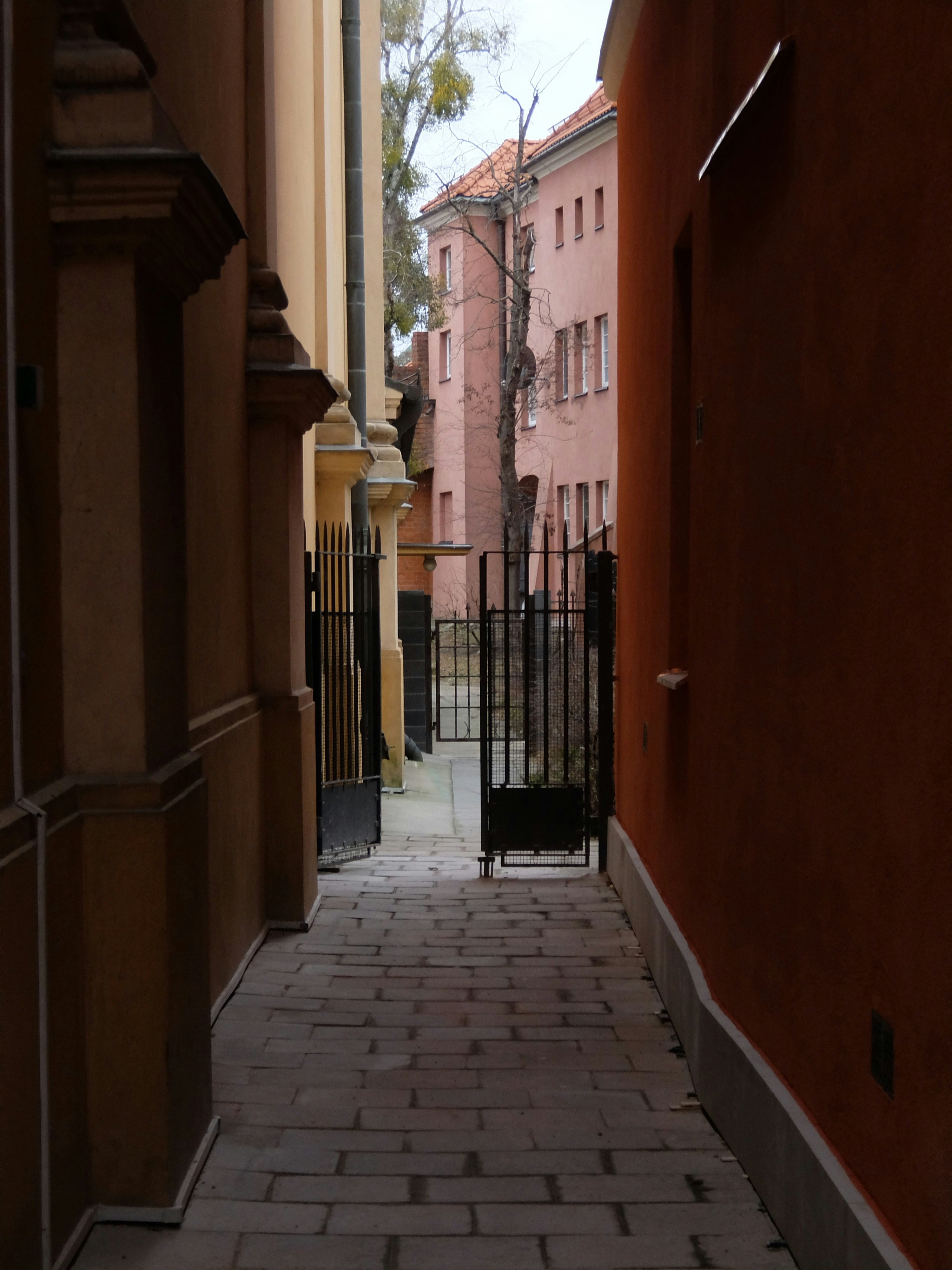 Photo by viktor_rejent