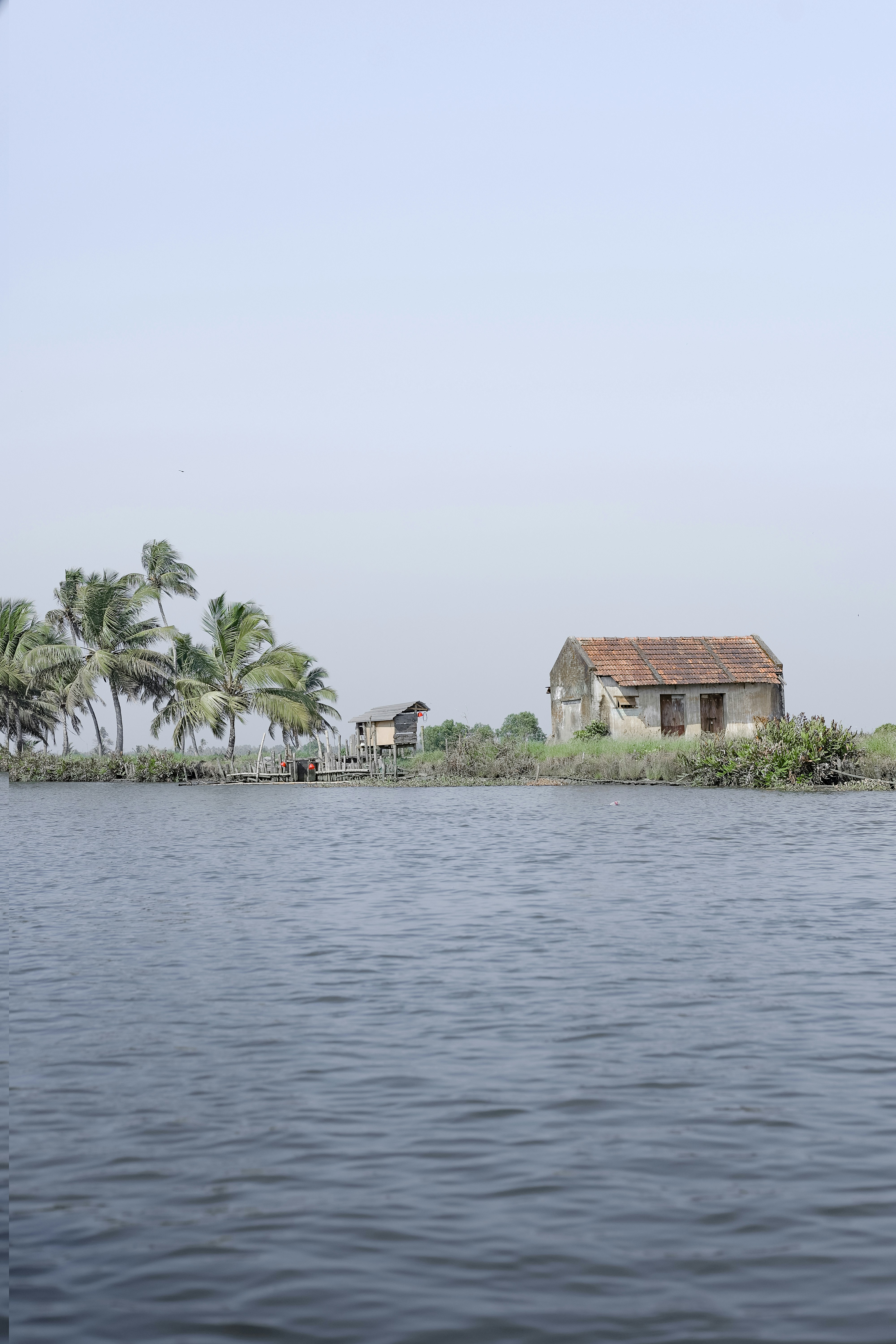 Waterfront view of houses and palm trees