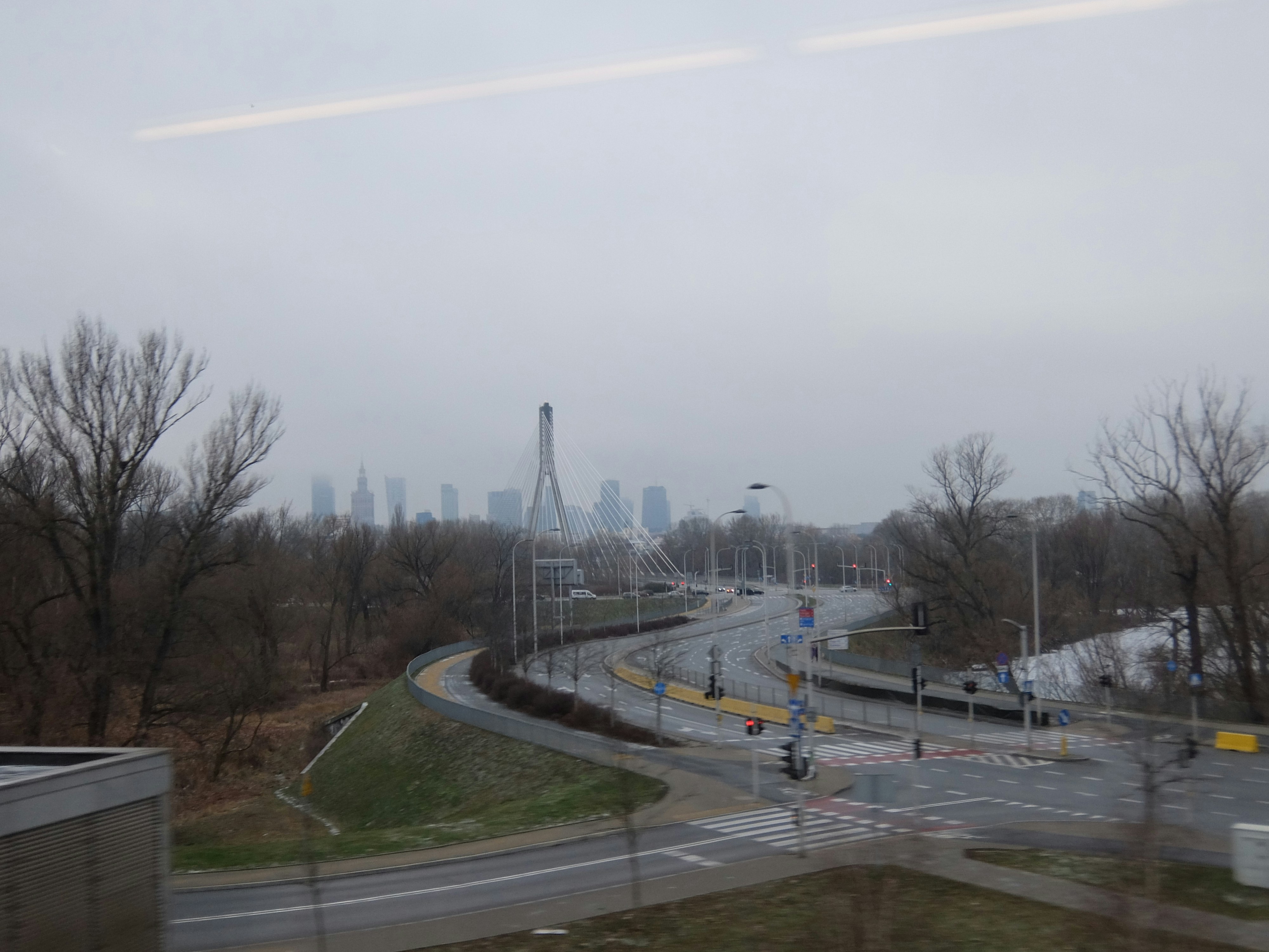 City skyline seen through trees on a foggy day