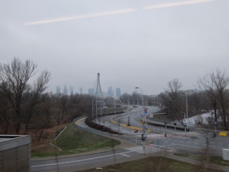 City skyline seen through trees on a foggy day