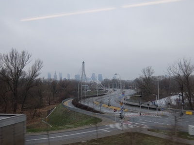City skyline seen through trees on a foggy day