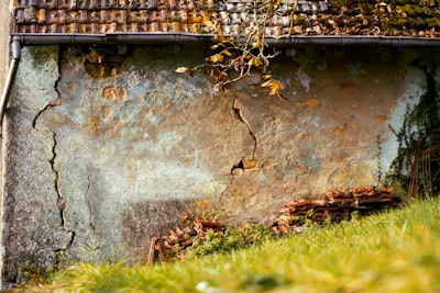 Before - old roof