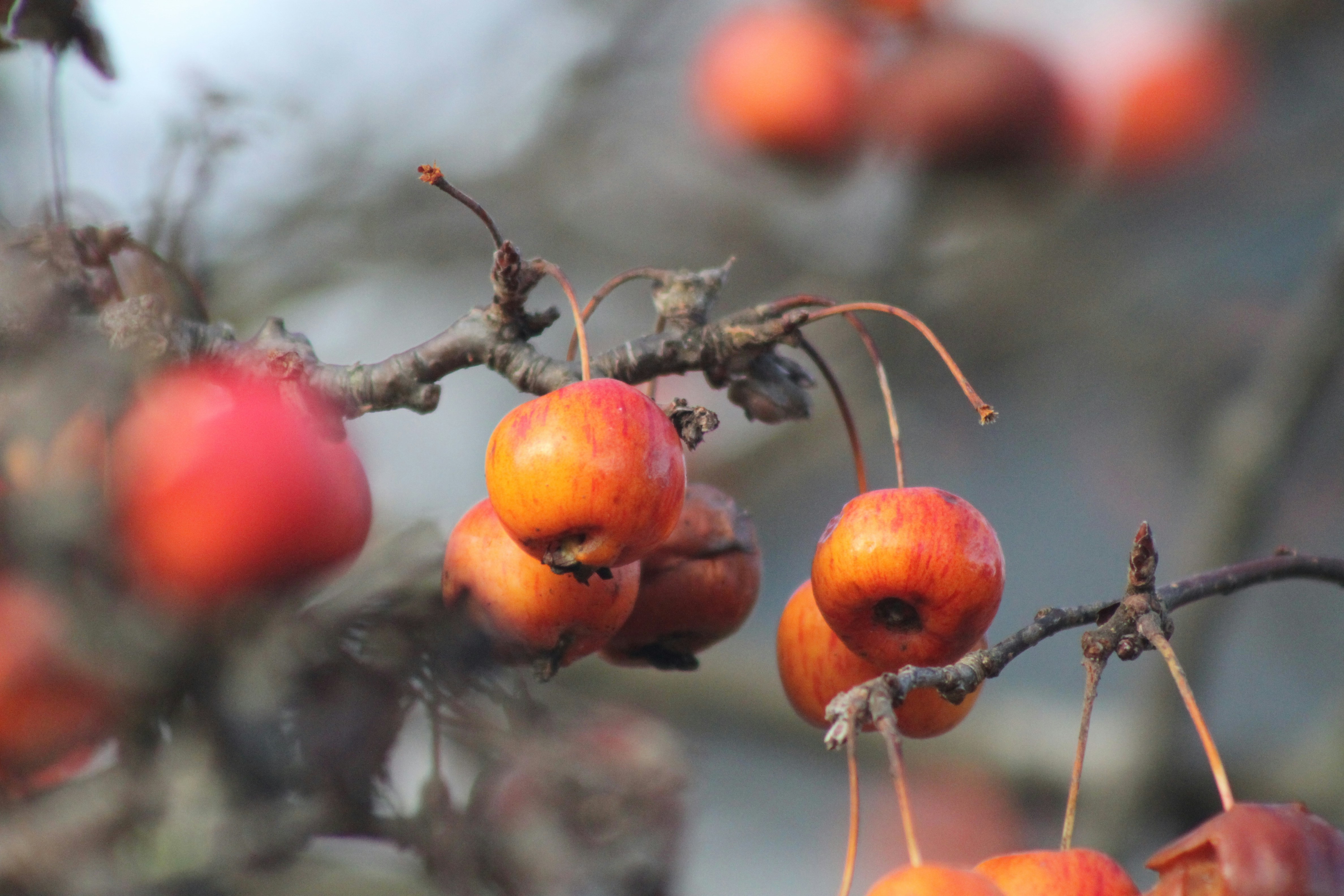 Photo by rubyphotography