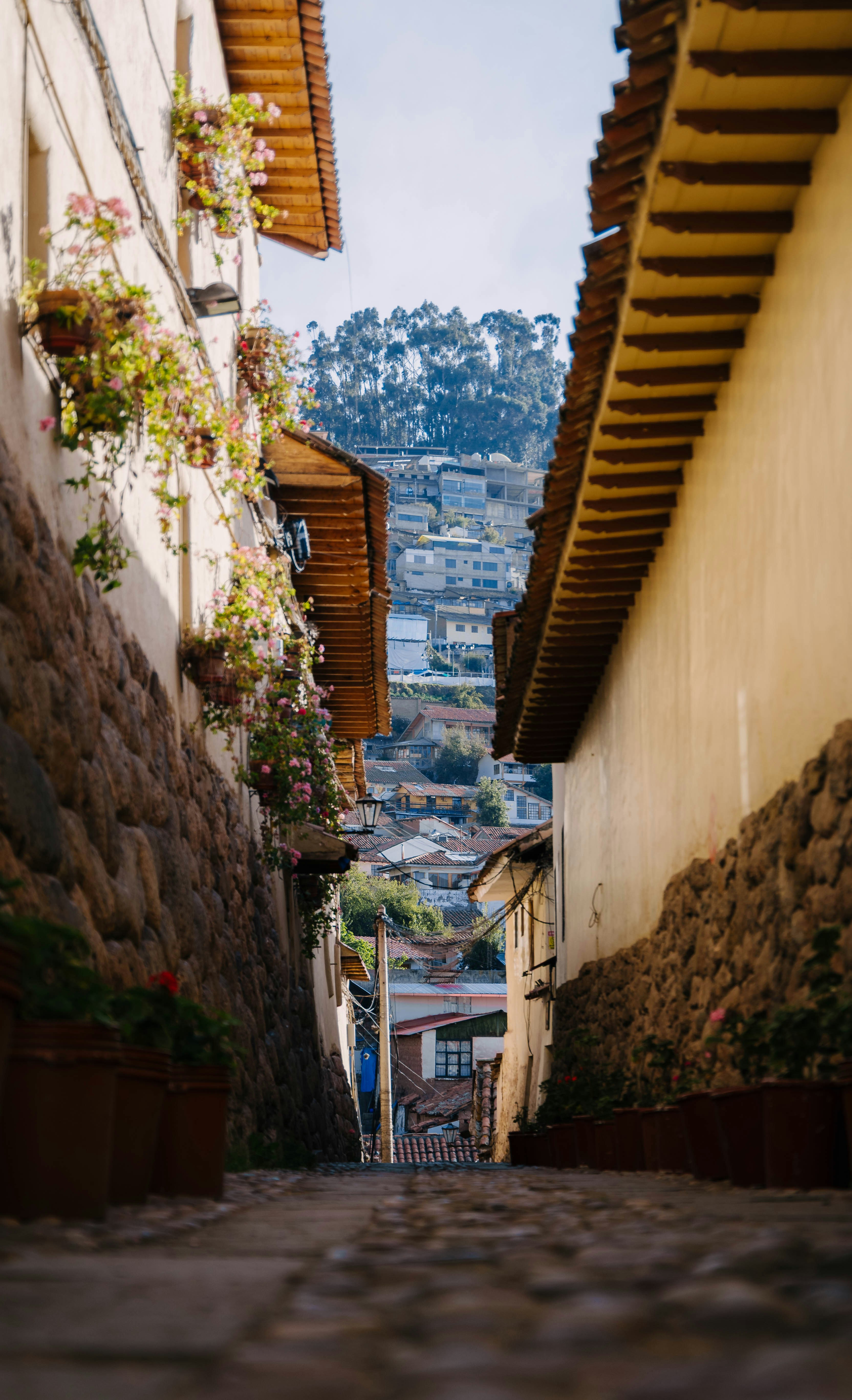 Photo by carbonmonoxide