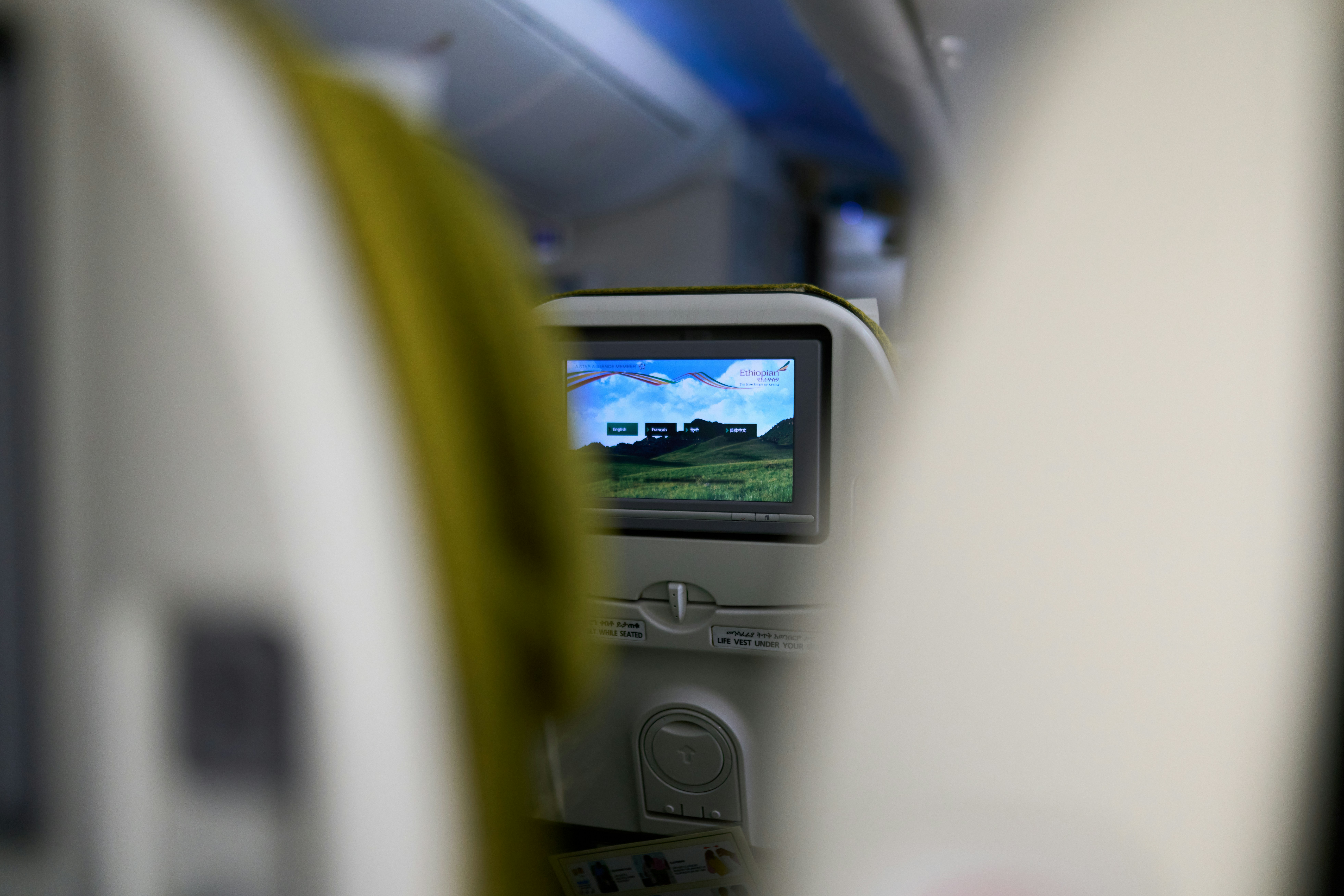 Airplane seatback screen displaying a landscape.