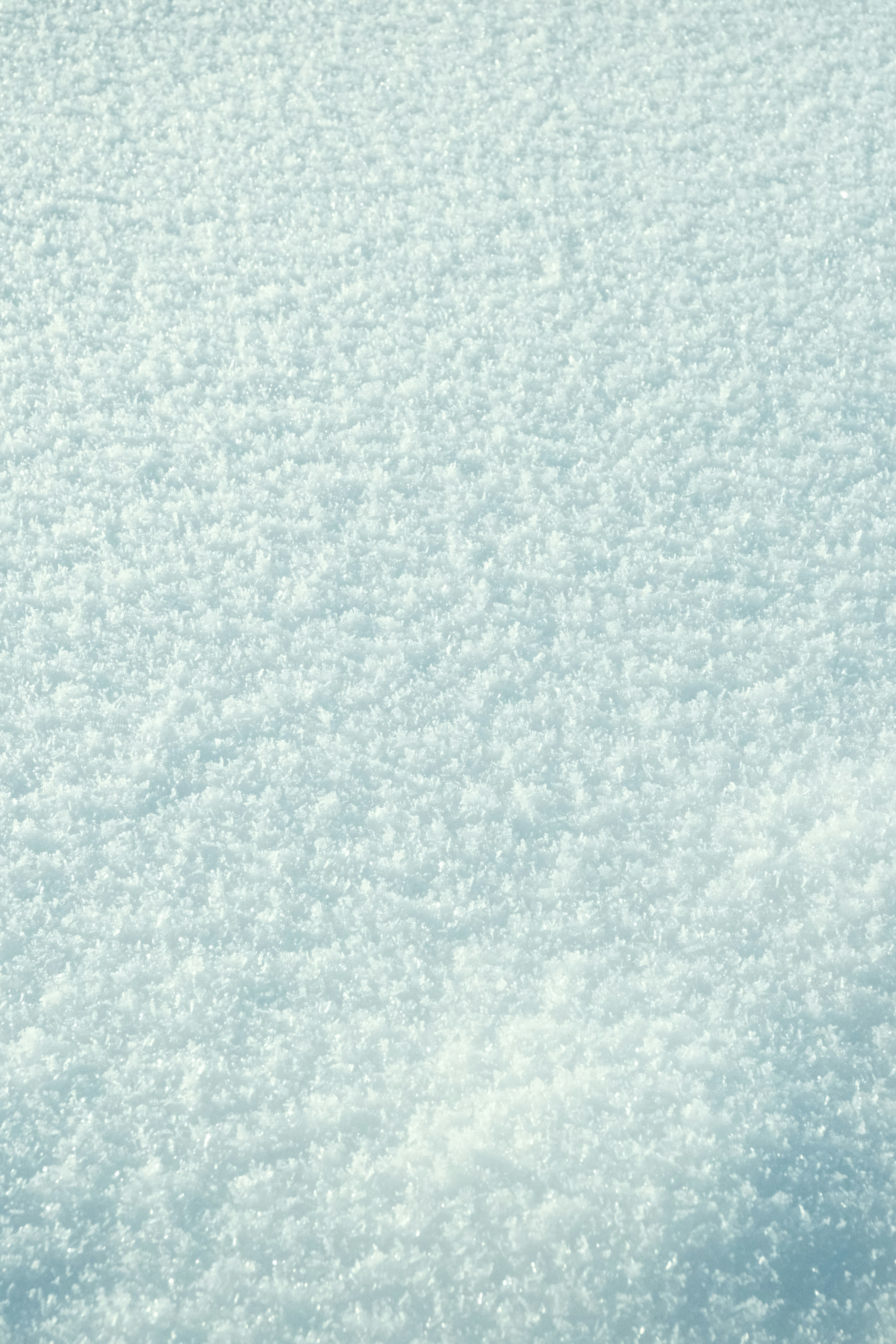 Photo by tatianarudneva