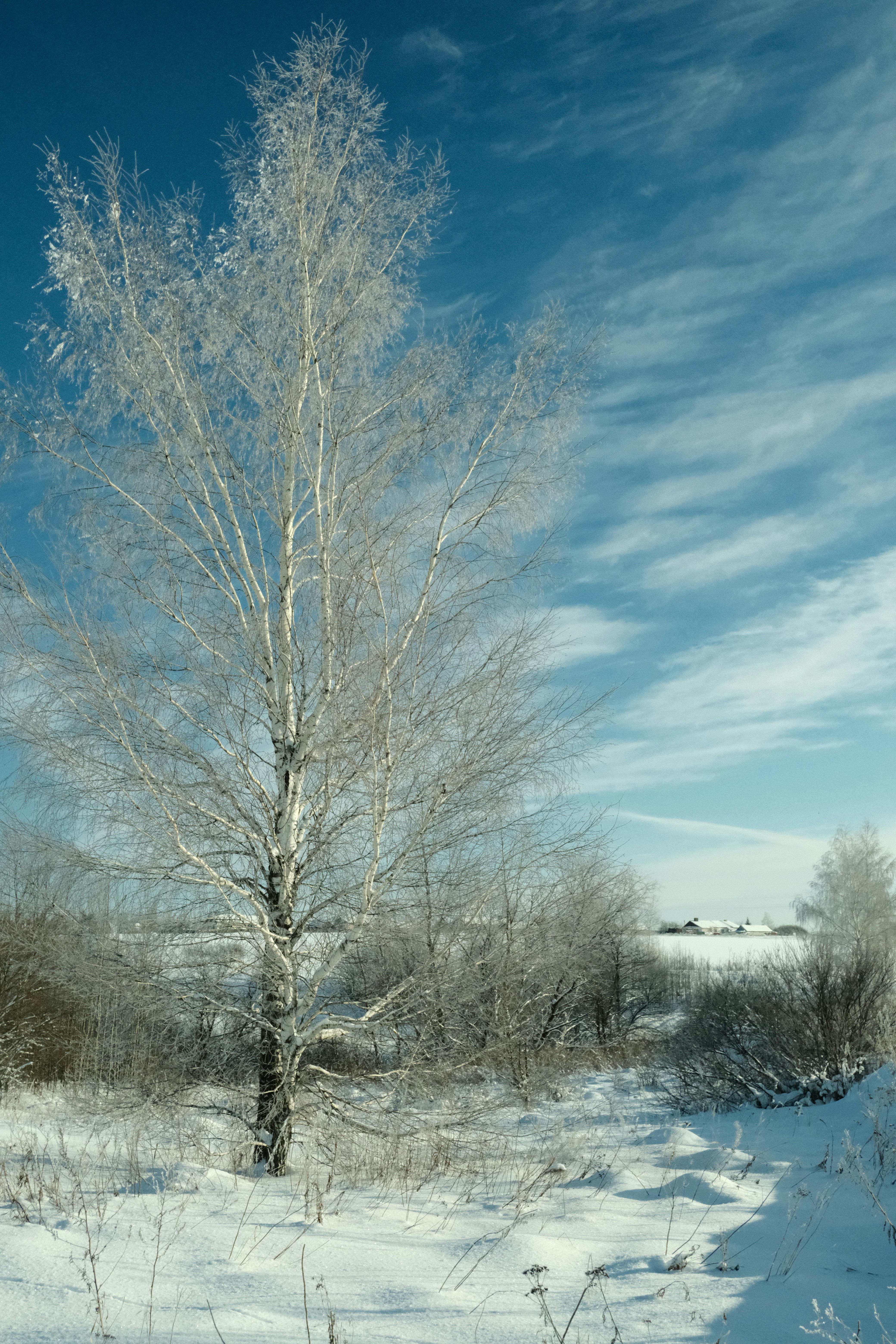 Photo by tatianarudneva