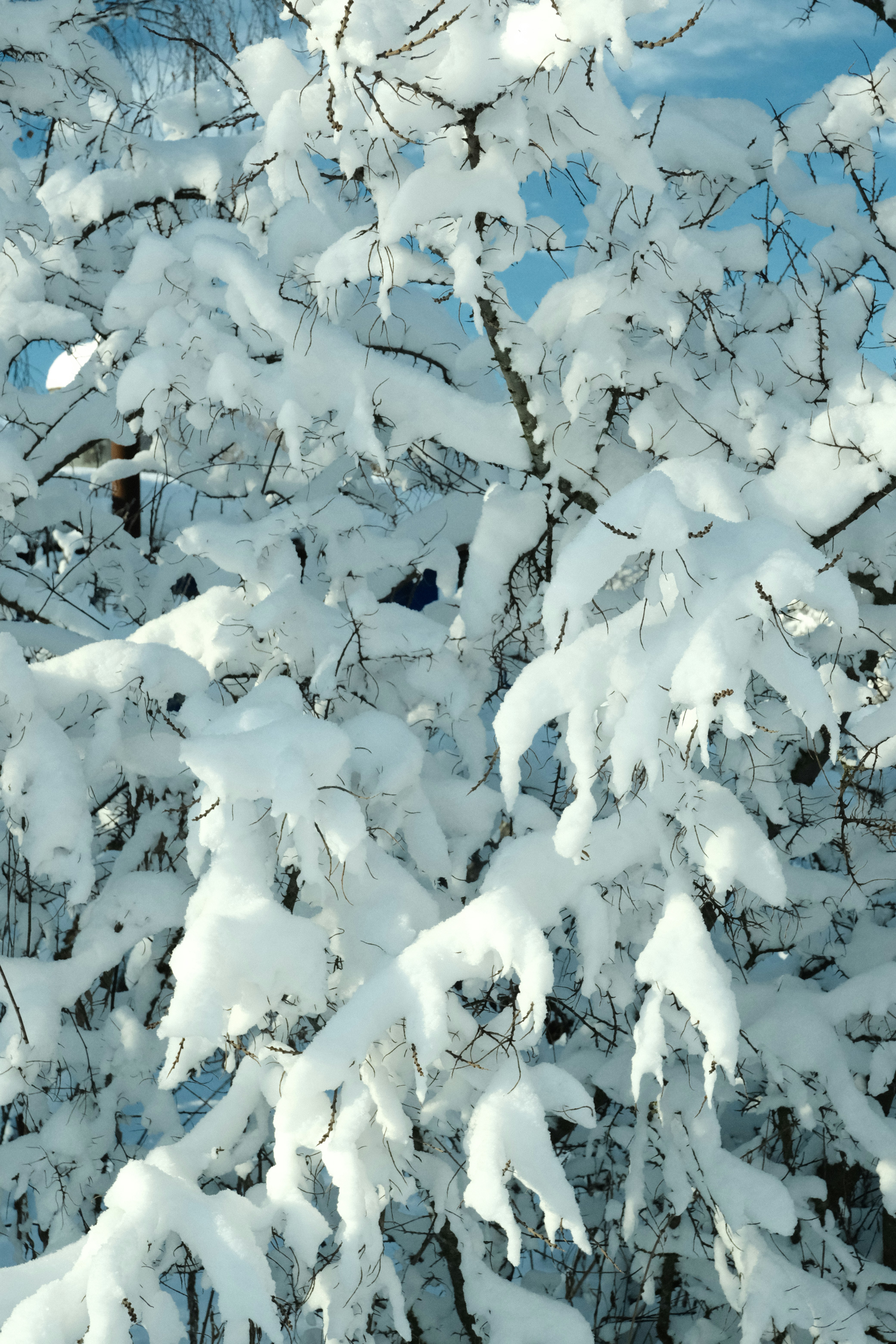 Photo by tatianarudneva