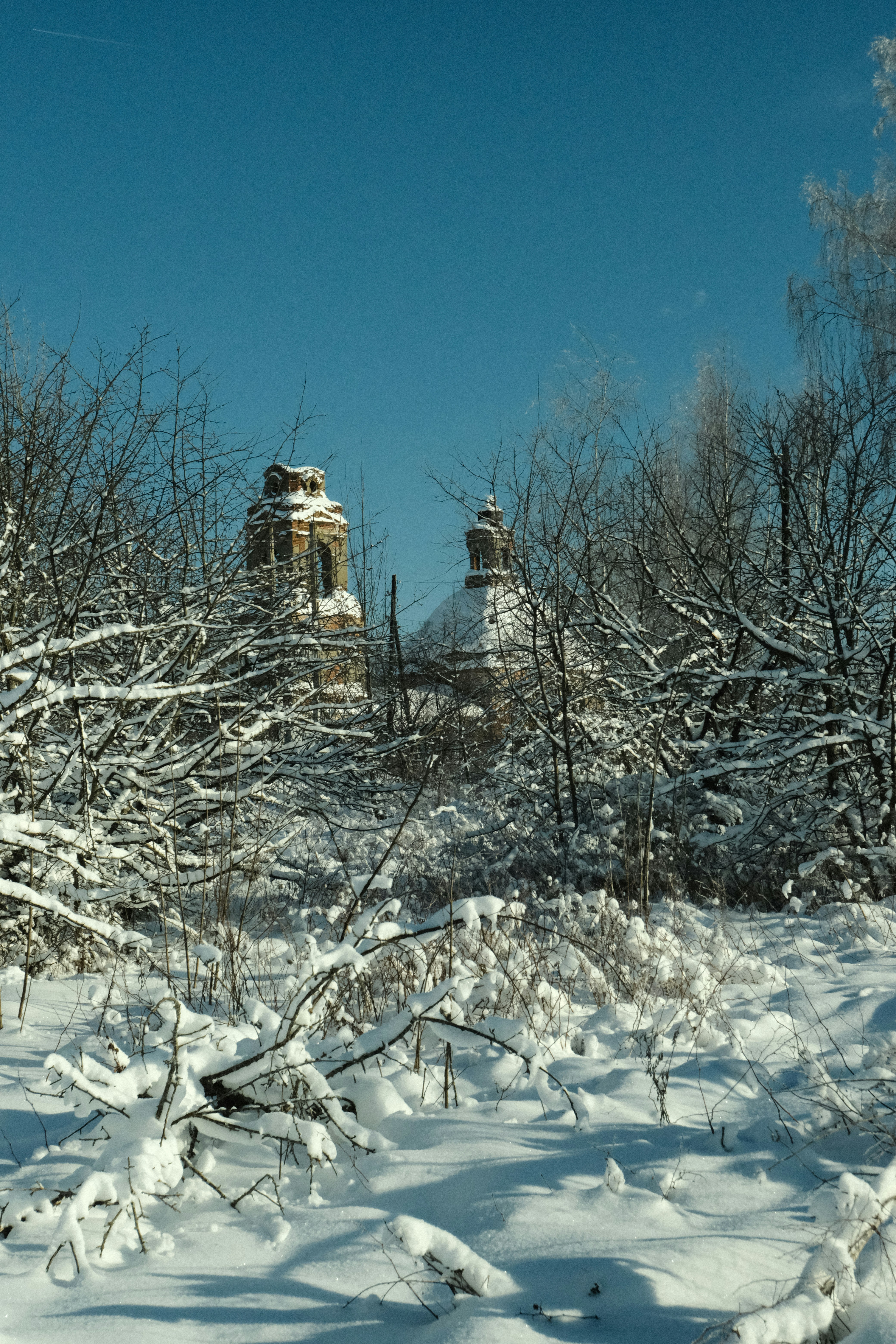 Snow covered trees with old church in background