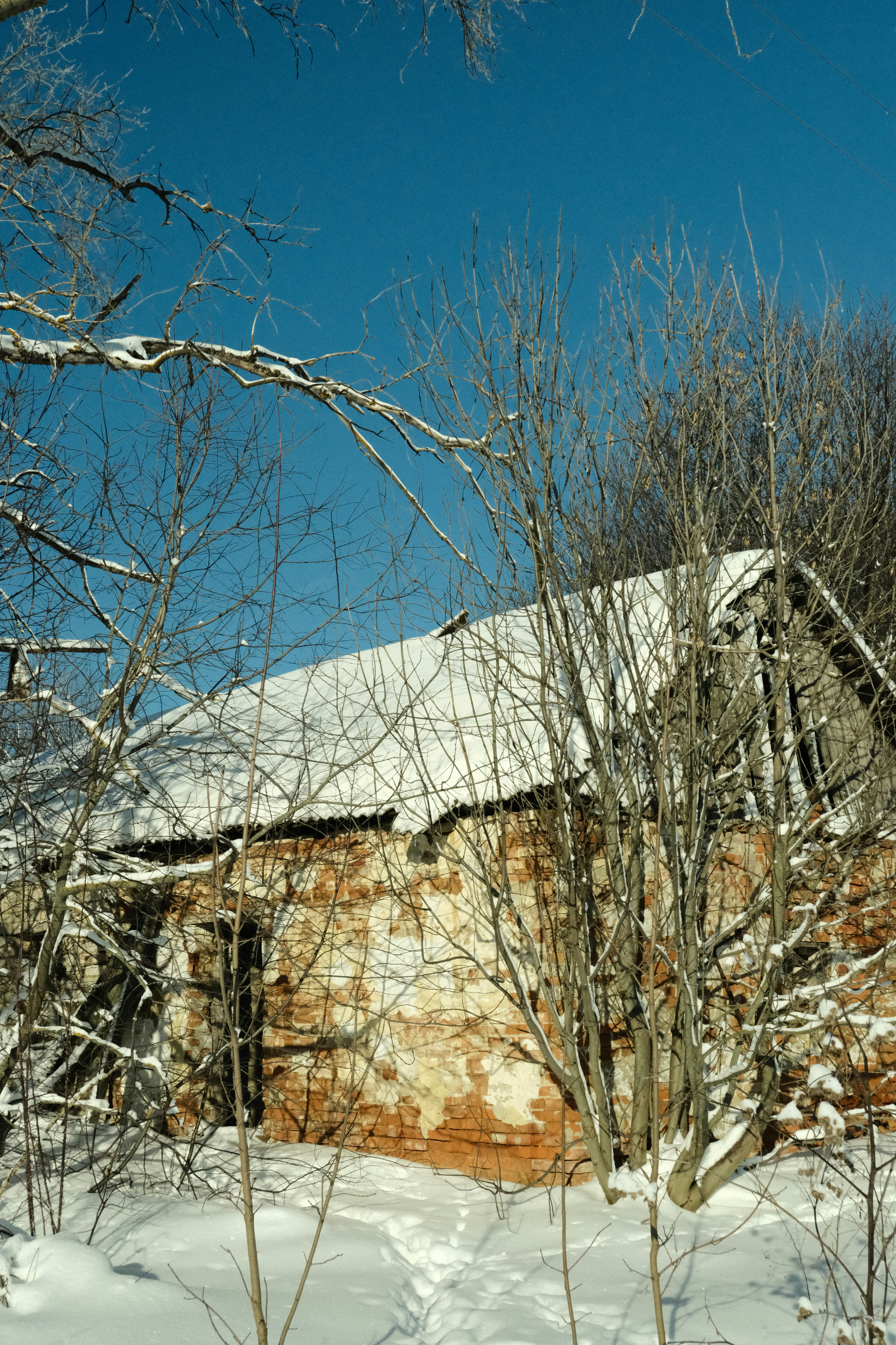 Photo by tatianarudneva