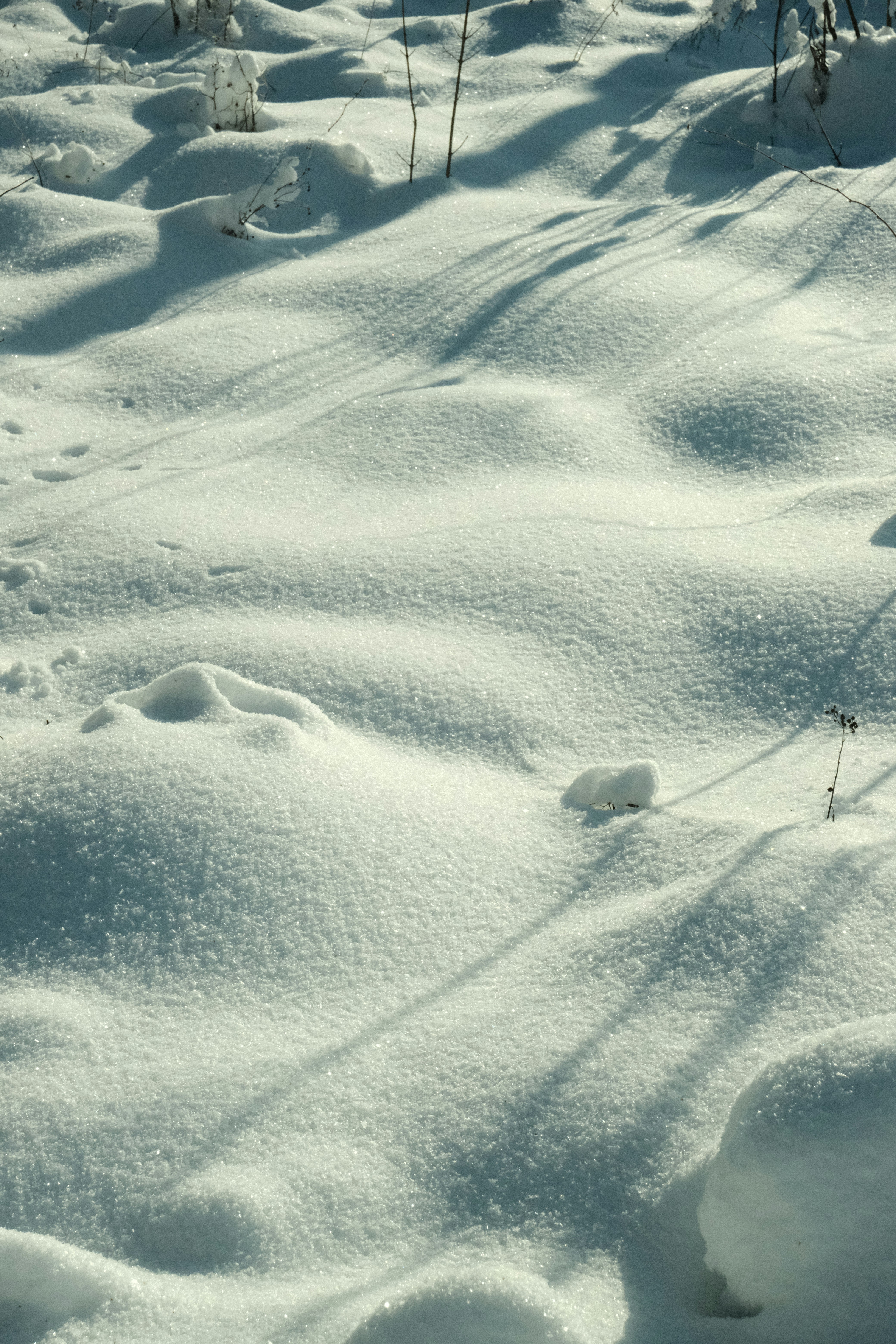 Photo by tatianarudneva