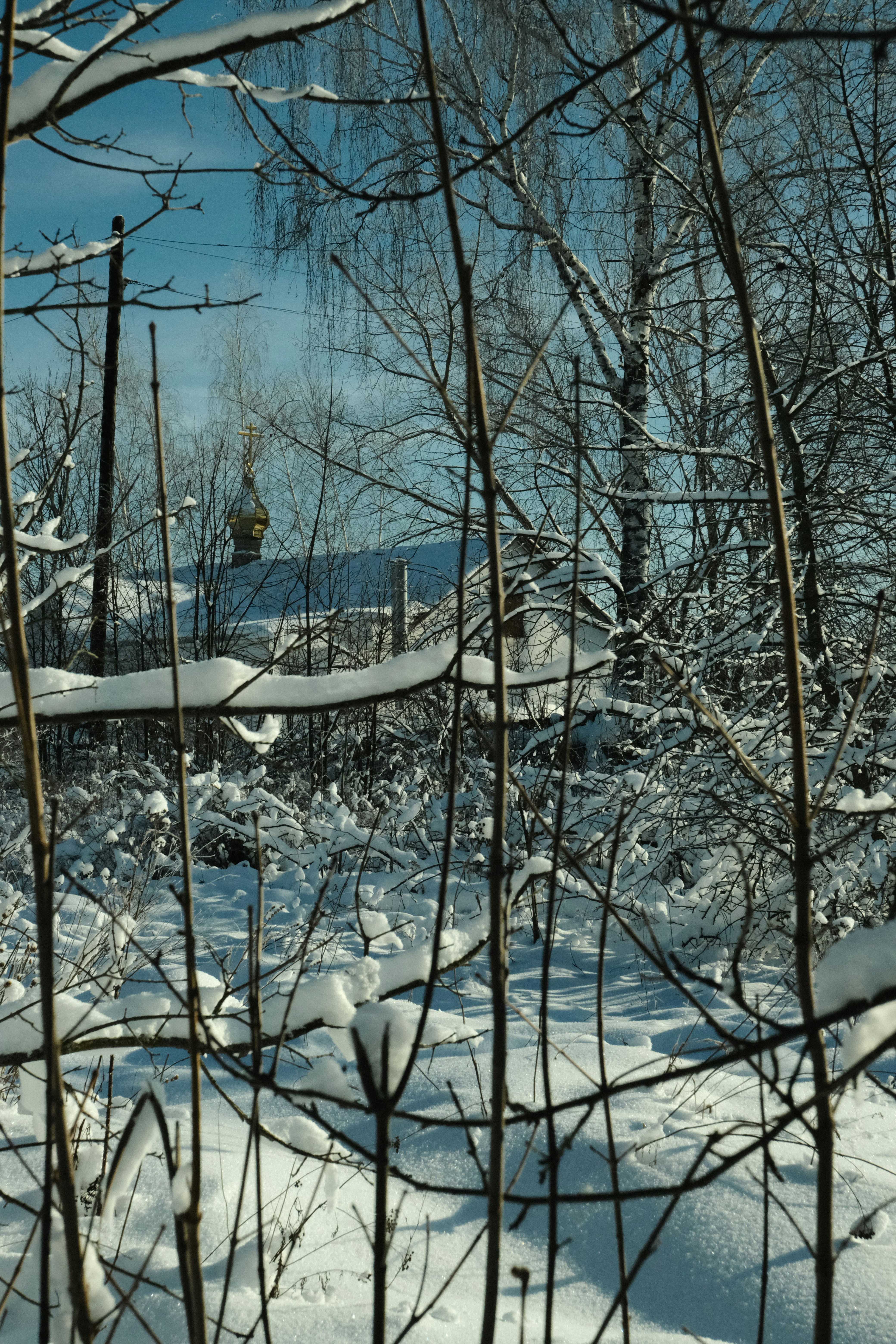 Photo by tatianarudneva