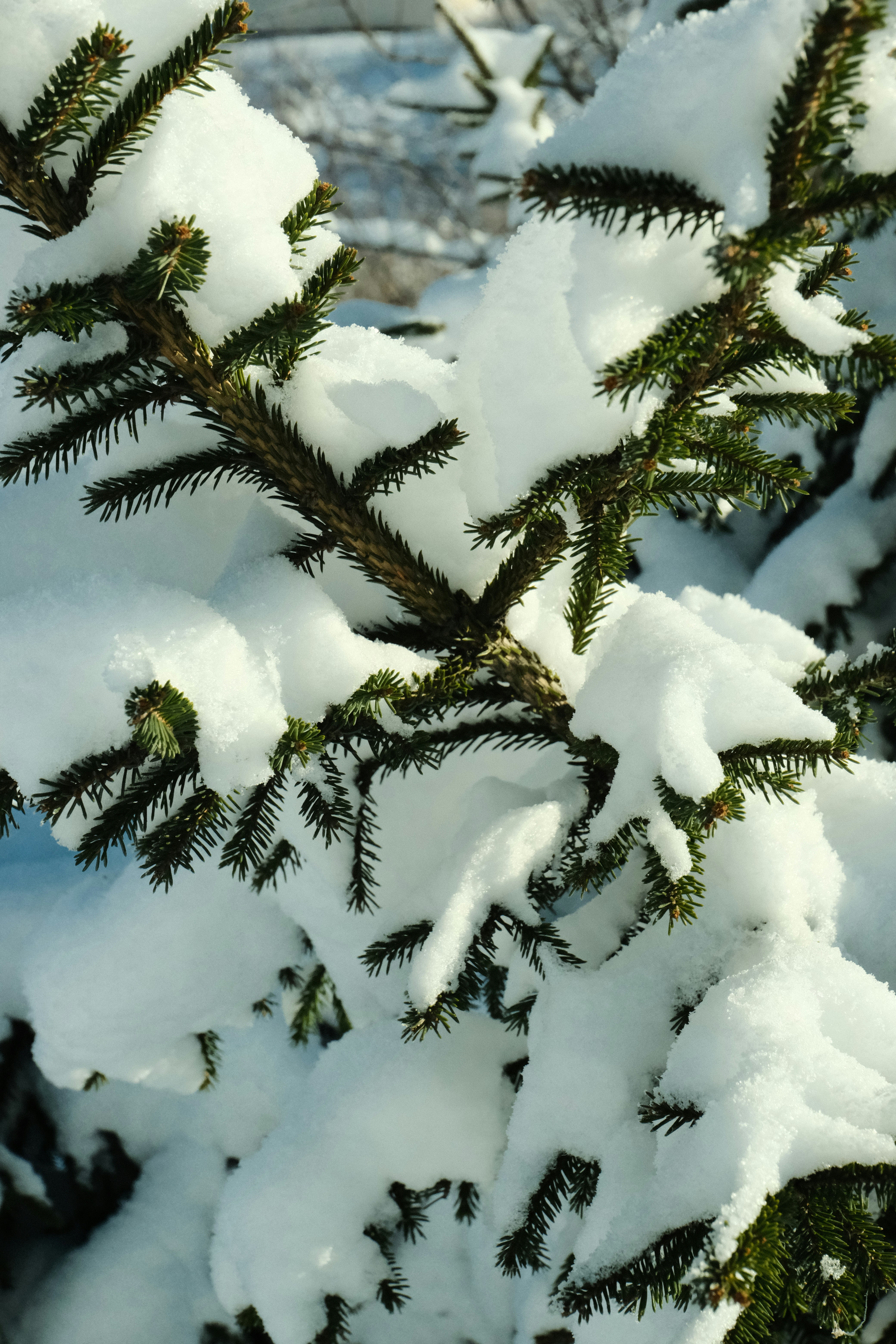 Photo by tatianarudneva