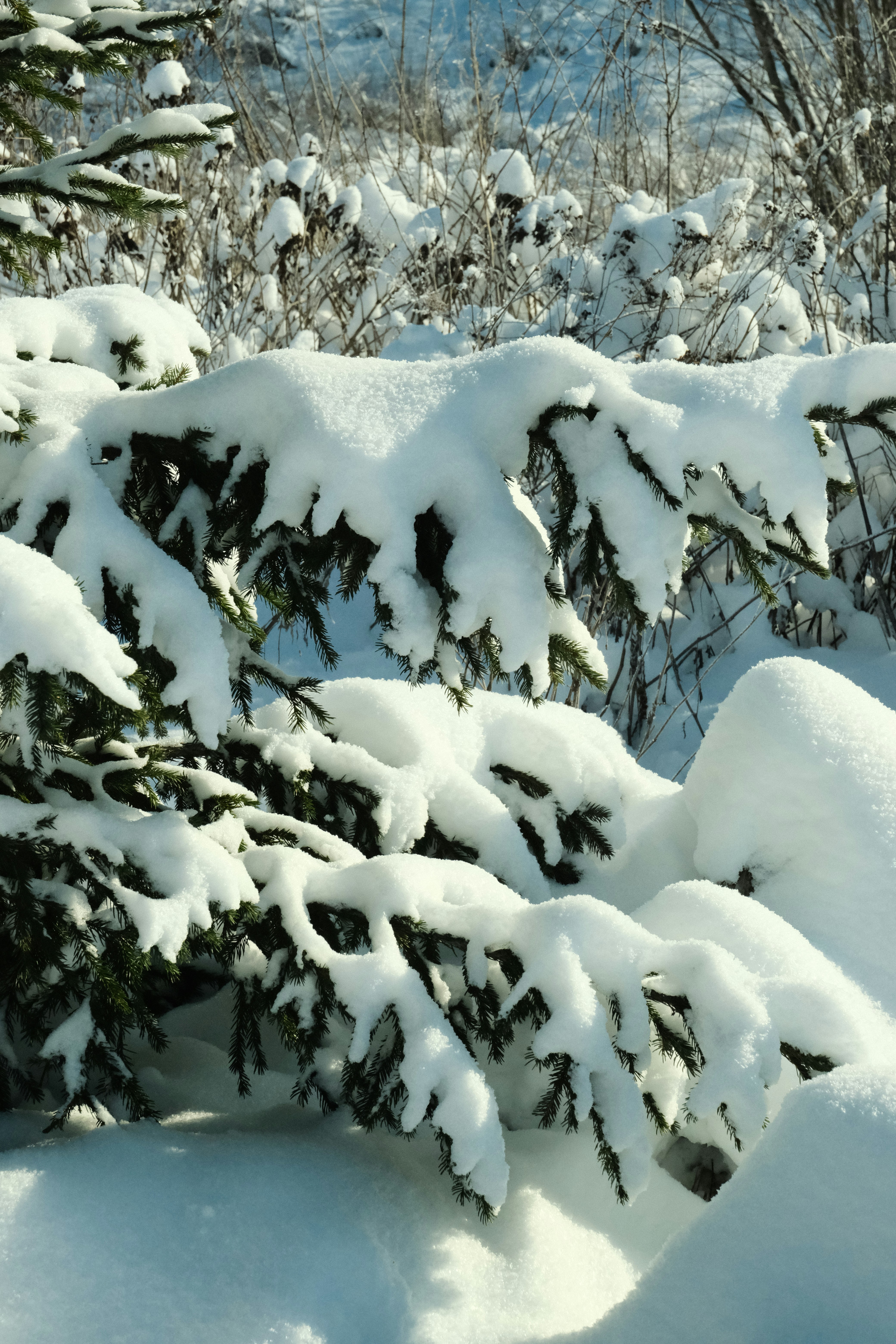 Photo by tatianarudneva