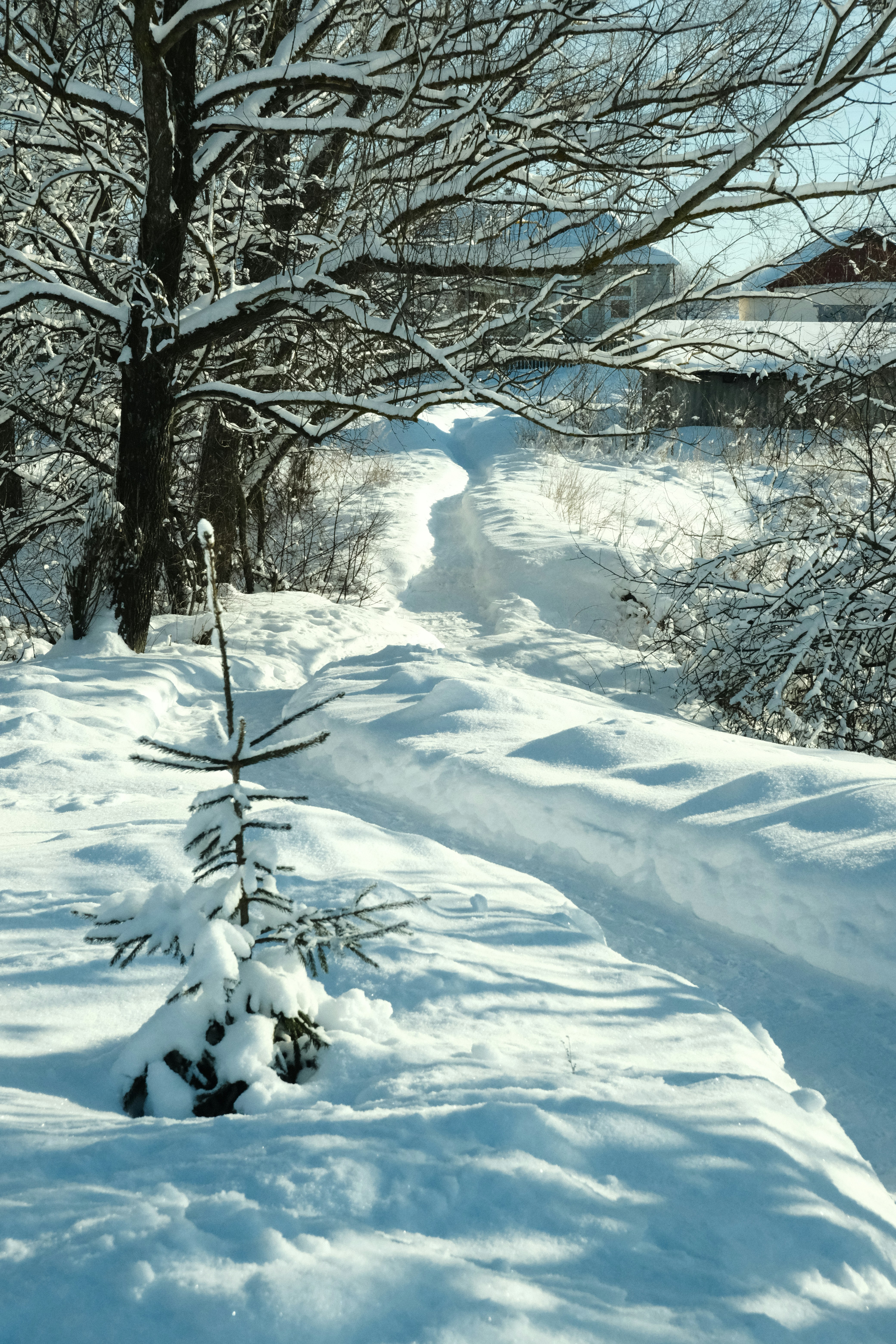 Photo by tatianarudneva