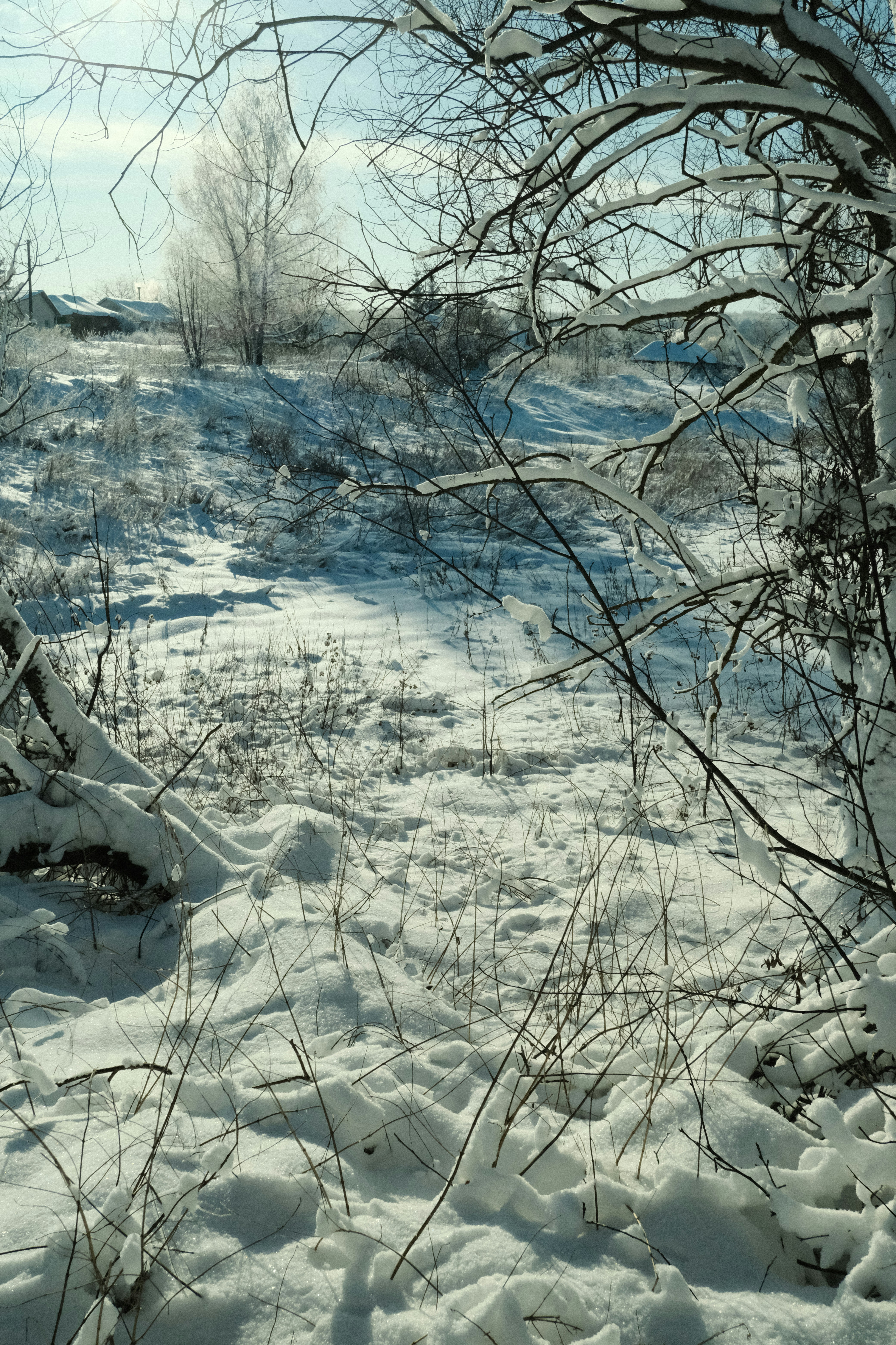 Photo by tatianarudneva