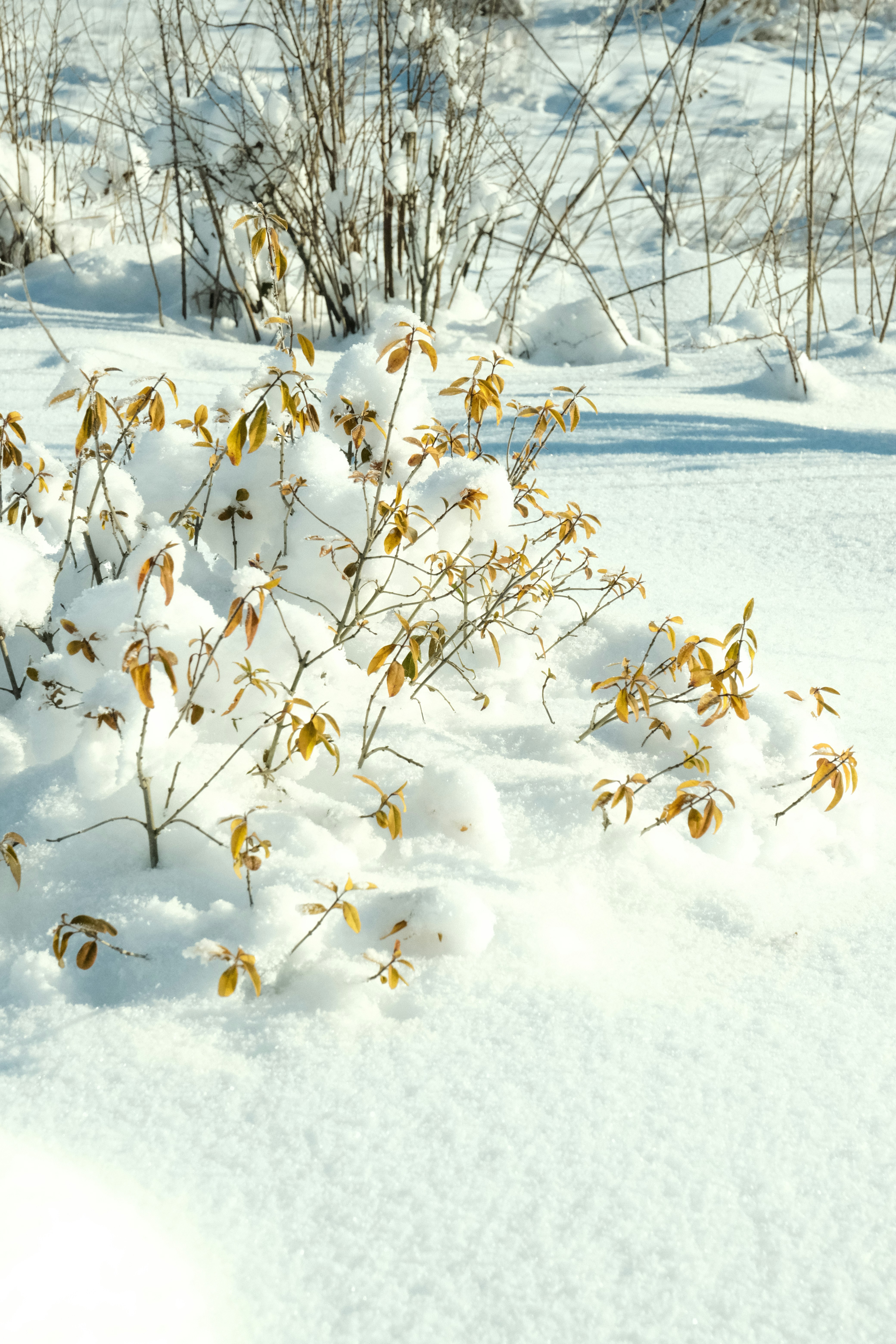 Photo by tatianarudneva