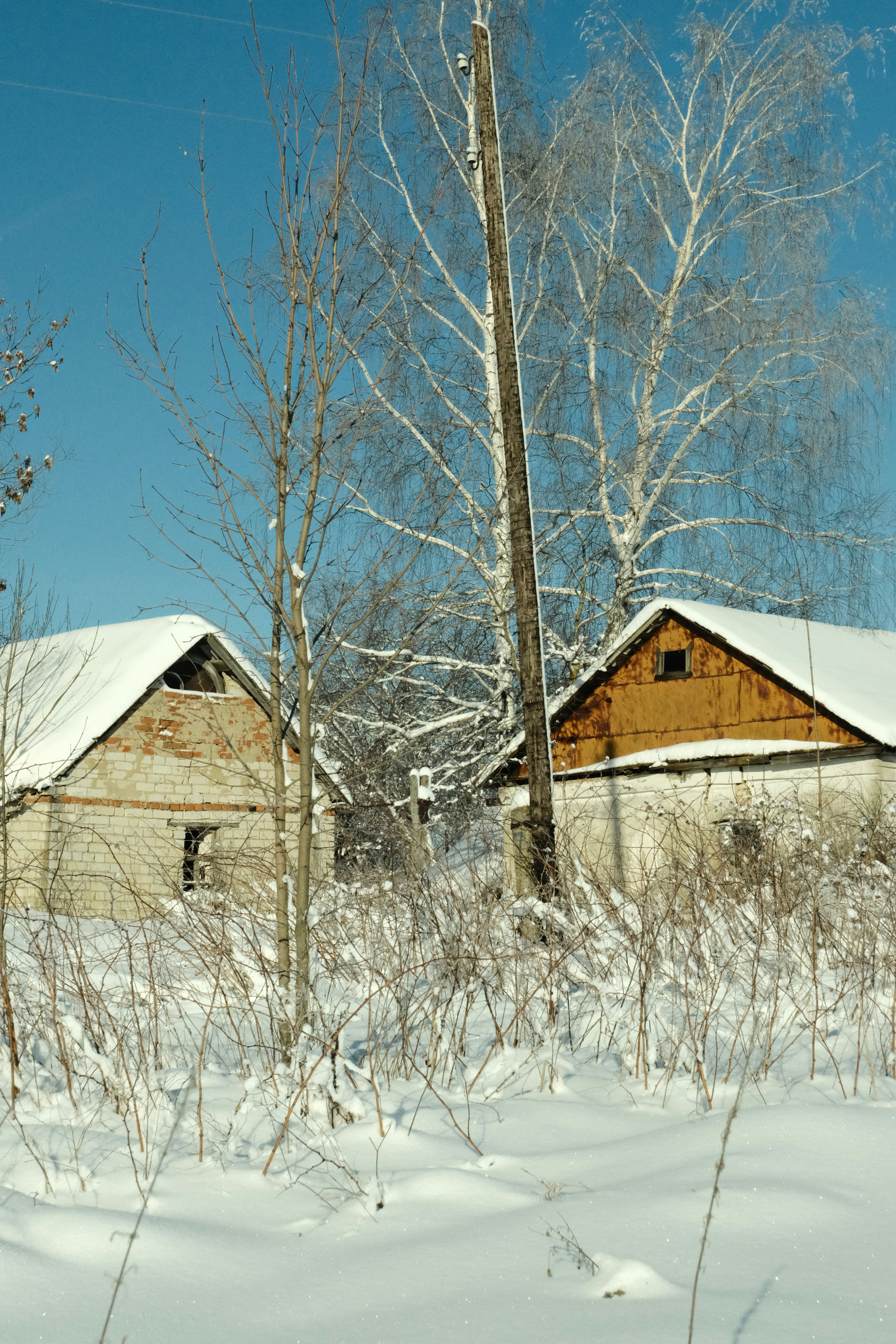 Photo by tatianarudneva