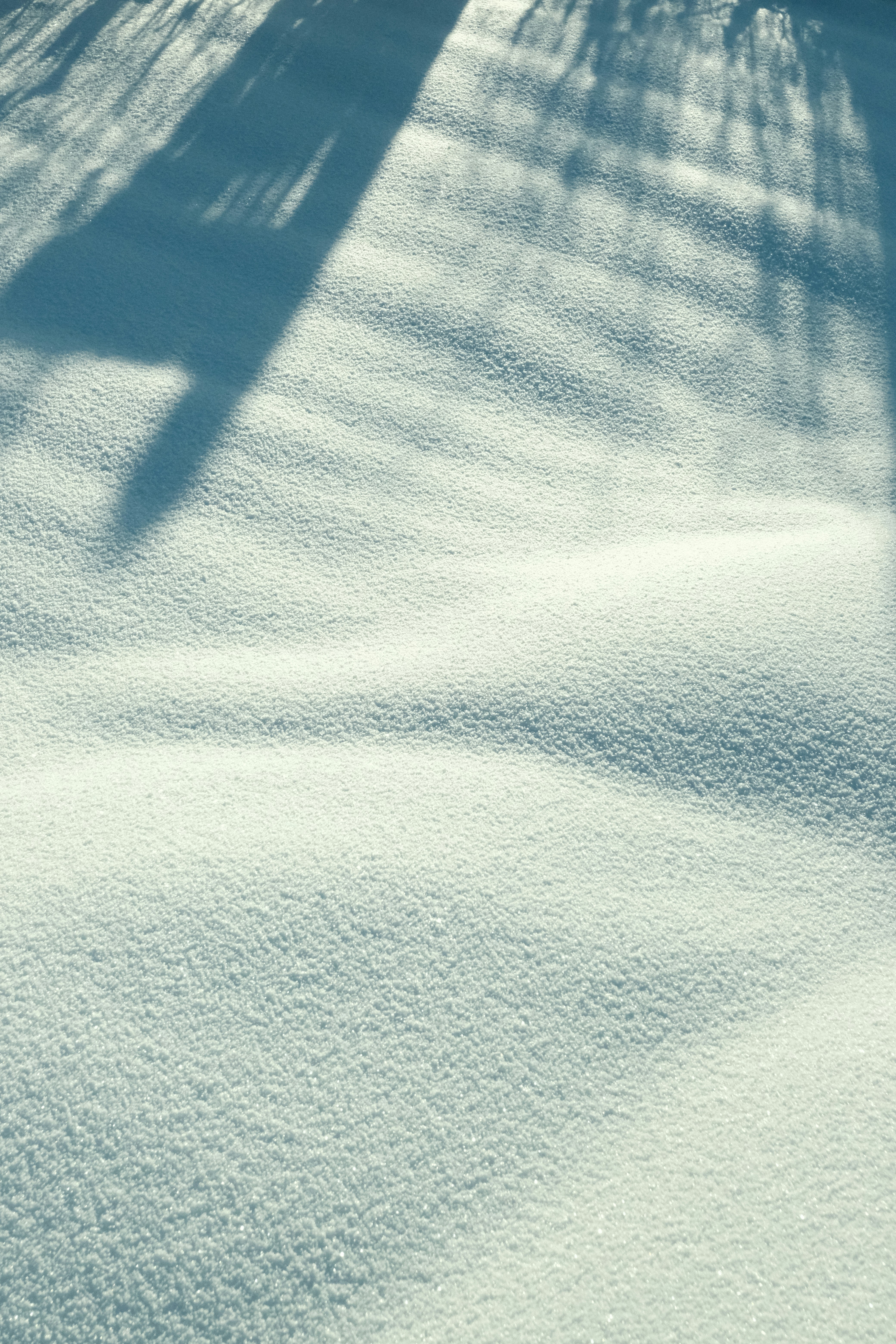 Photo by tatianarudneva