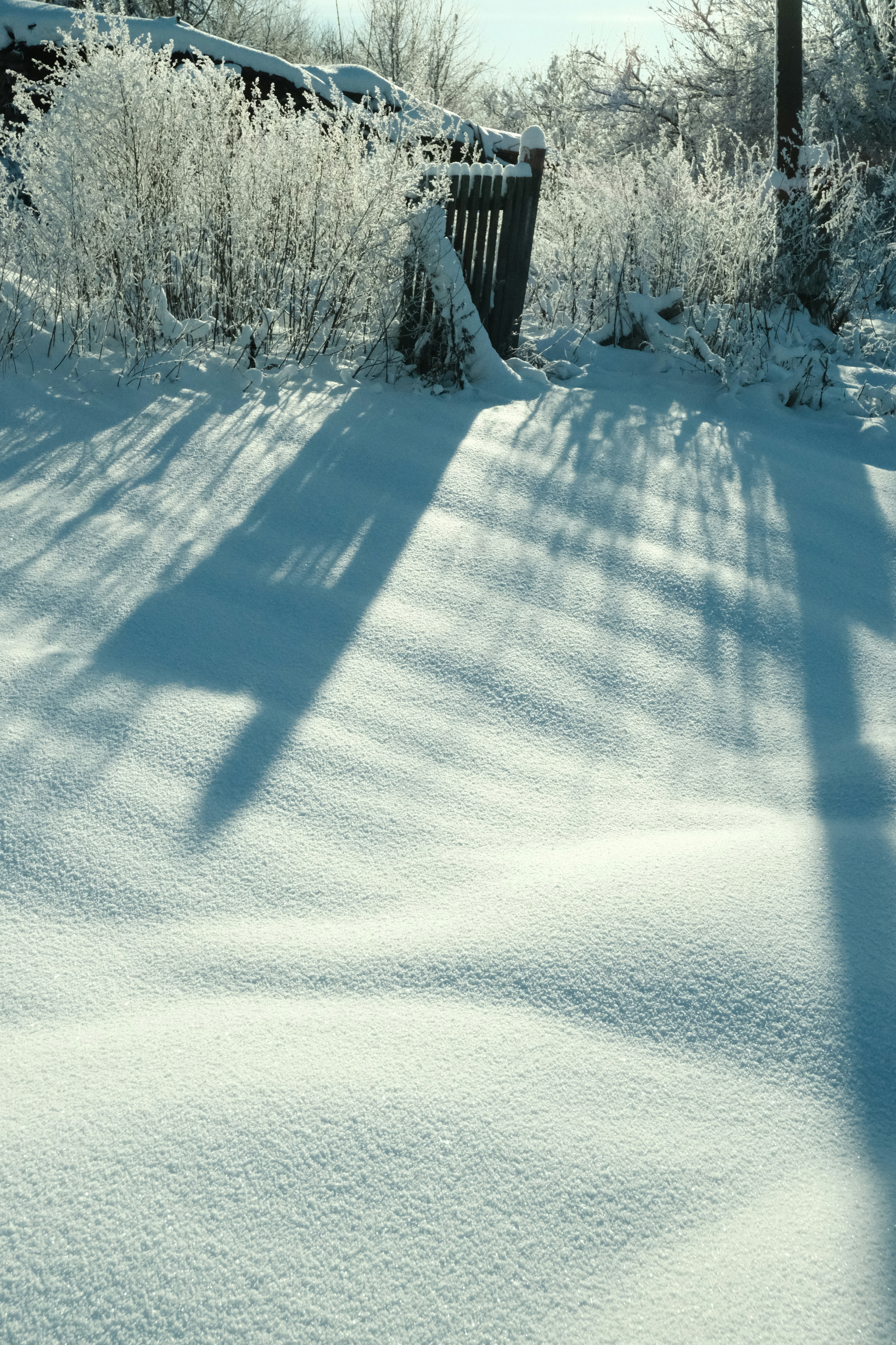 Photo by tatianarudneva