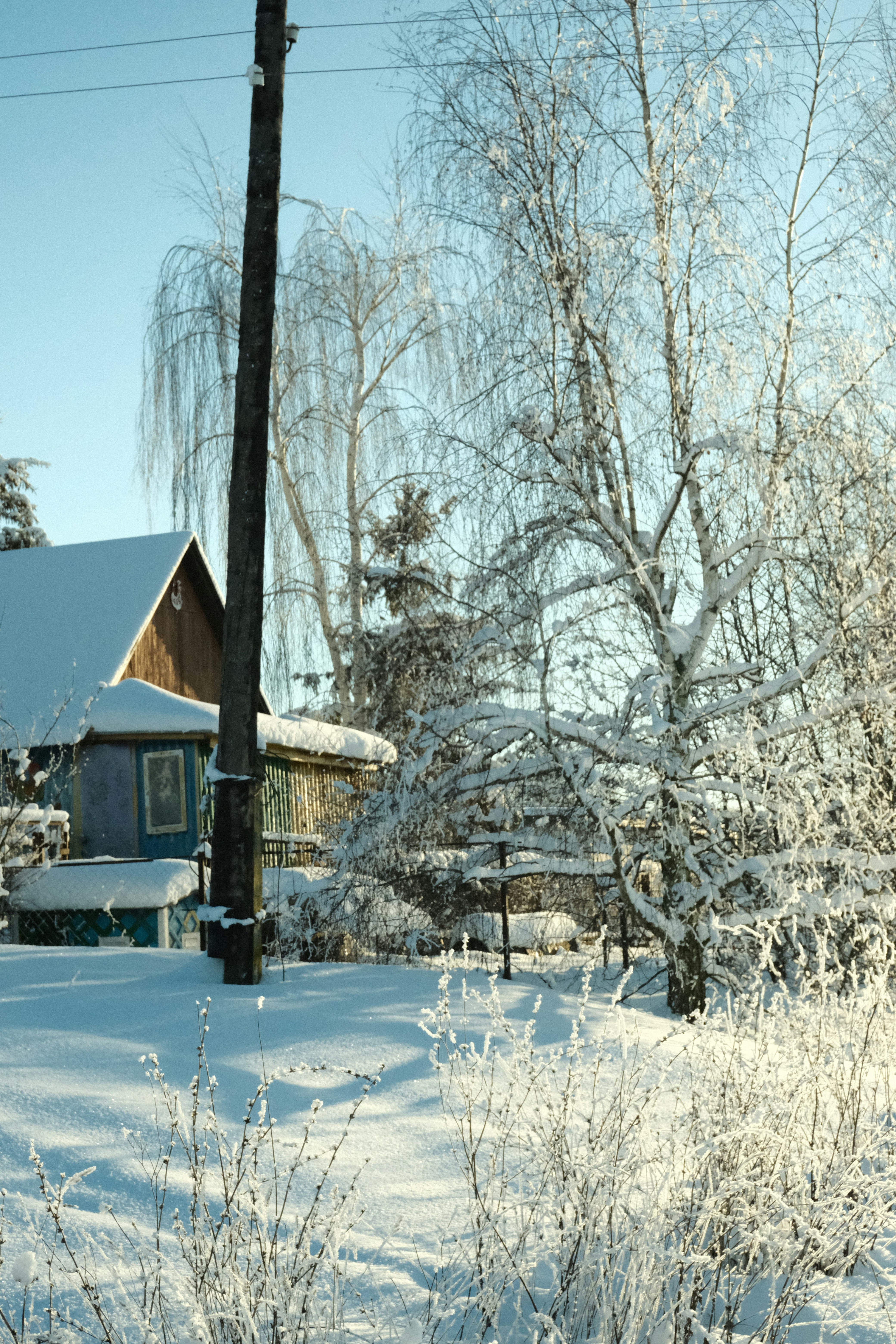 Photo by tatianarudneva