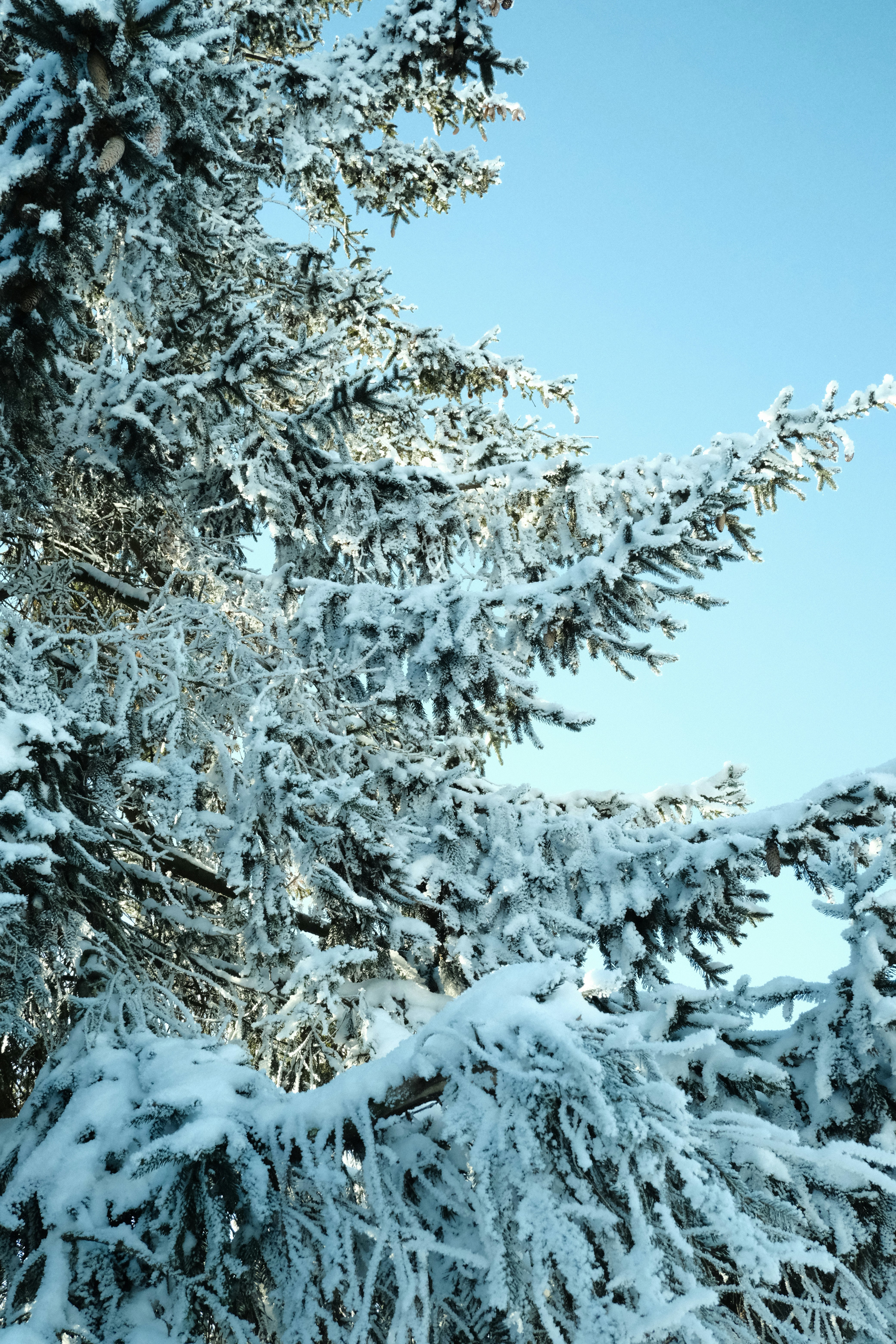 Photo by tatianarudneva