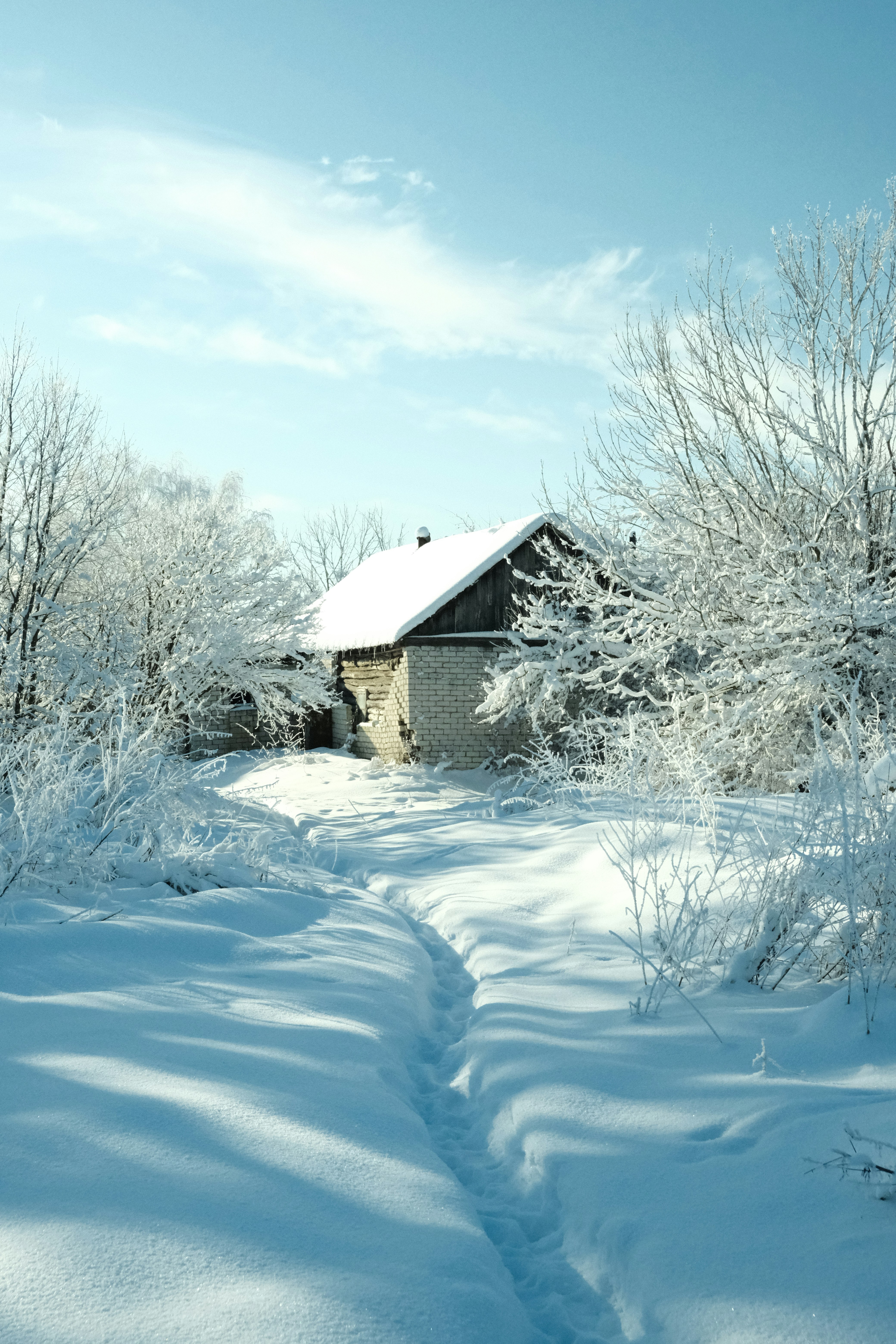 Photo by tatianarudneva