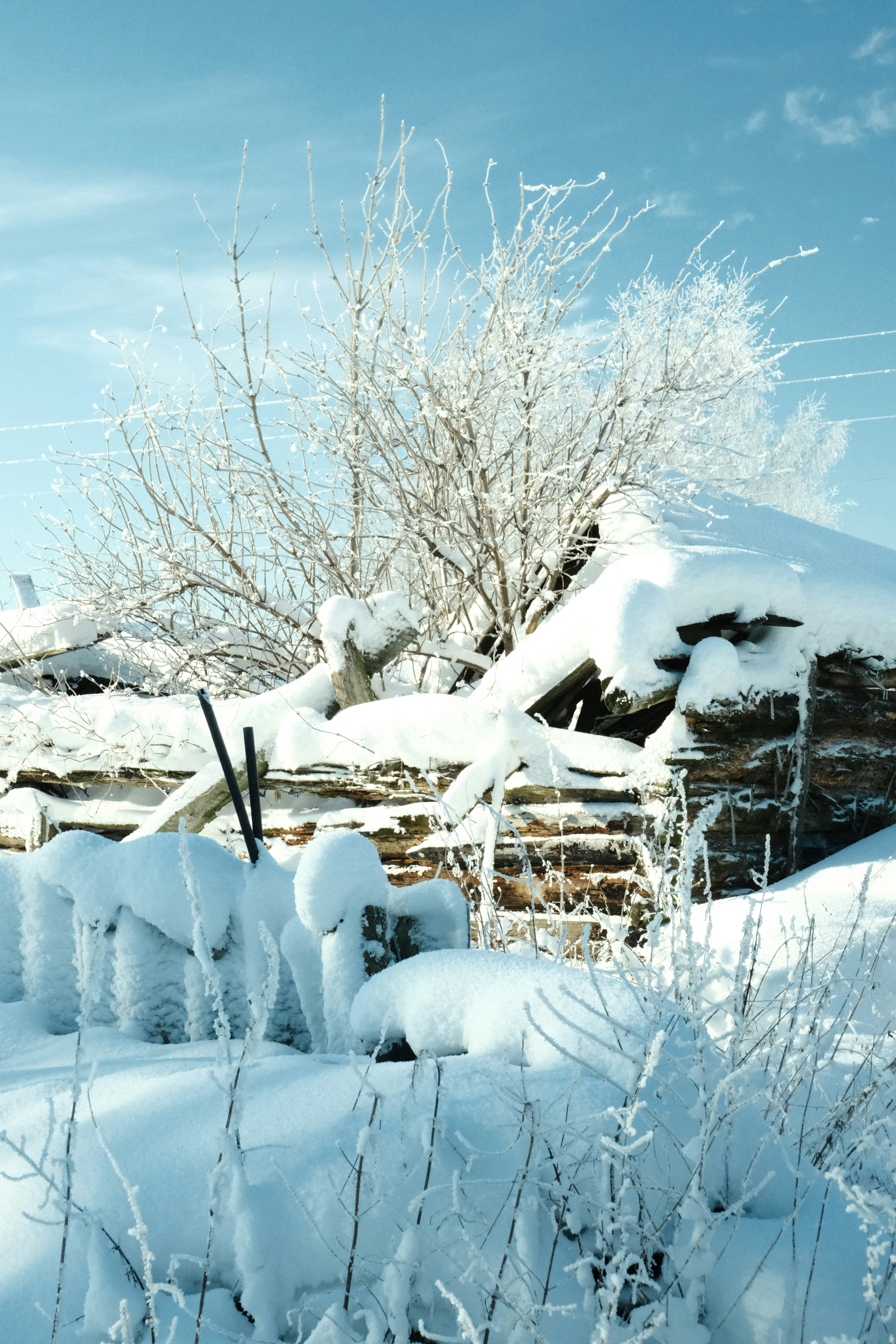 Photo by tatianarudneva