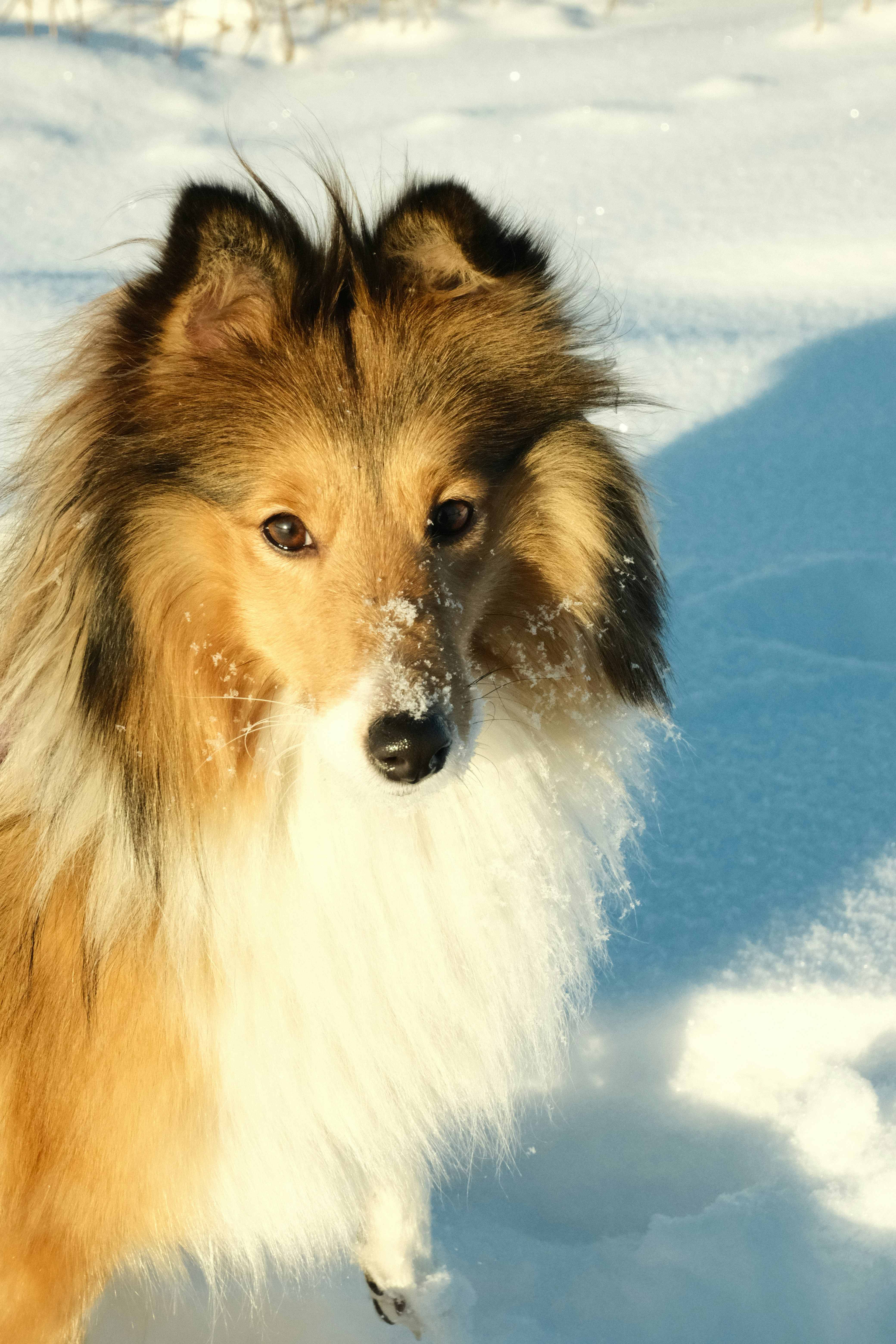 Photo by tatianarudneva