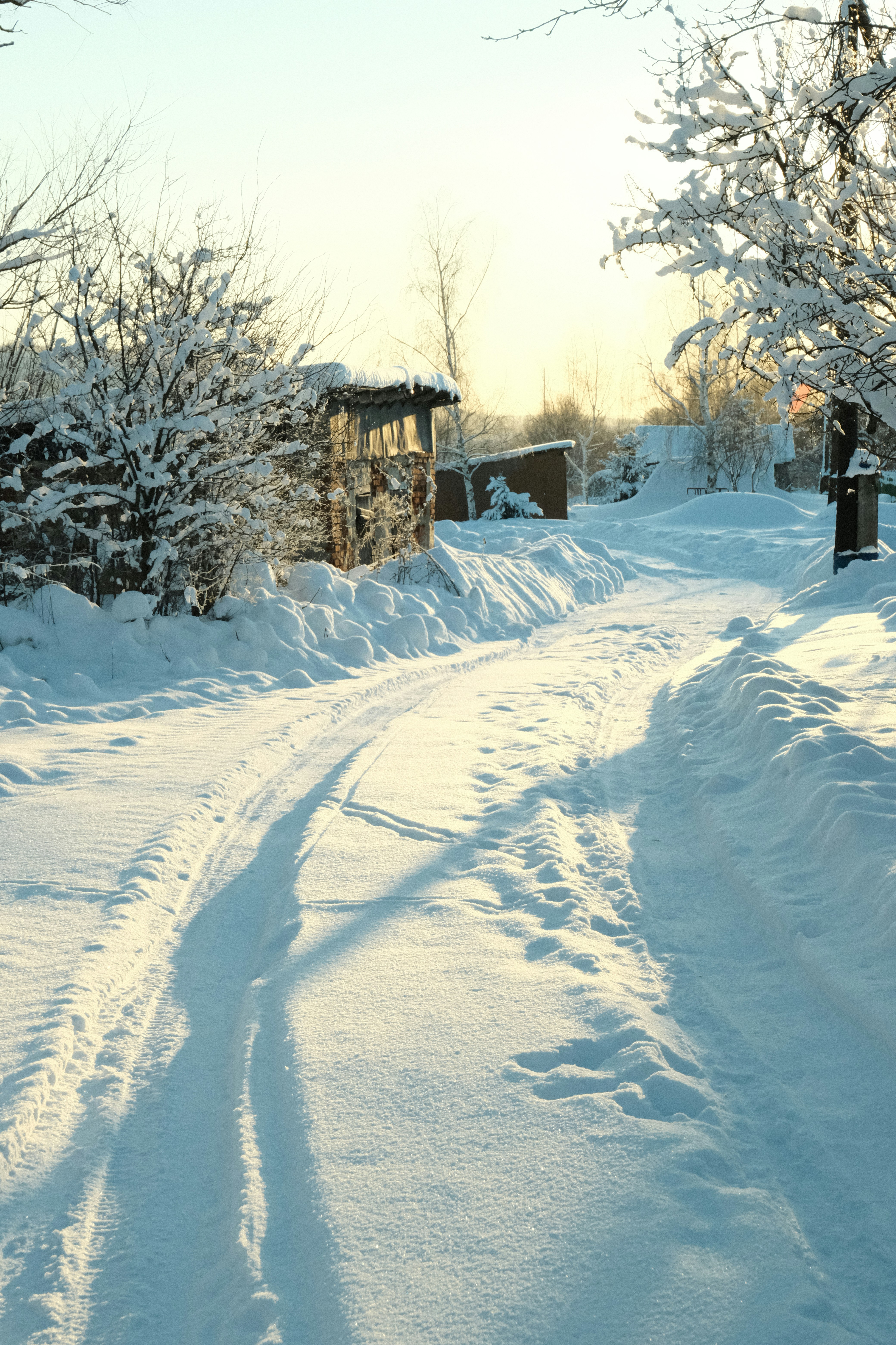 Snowy rural road with tire tracks in sunlight