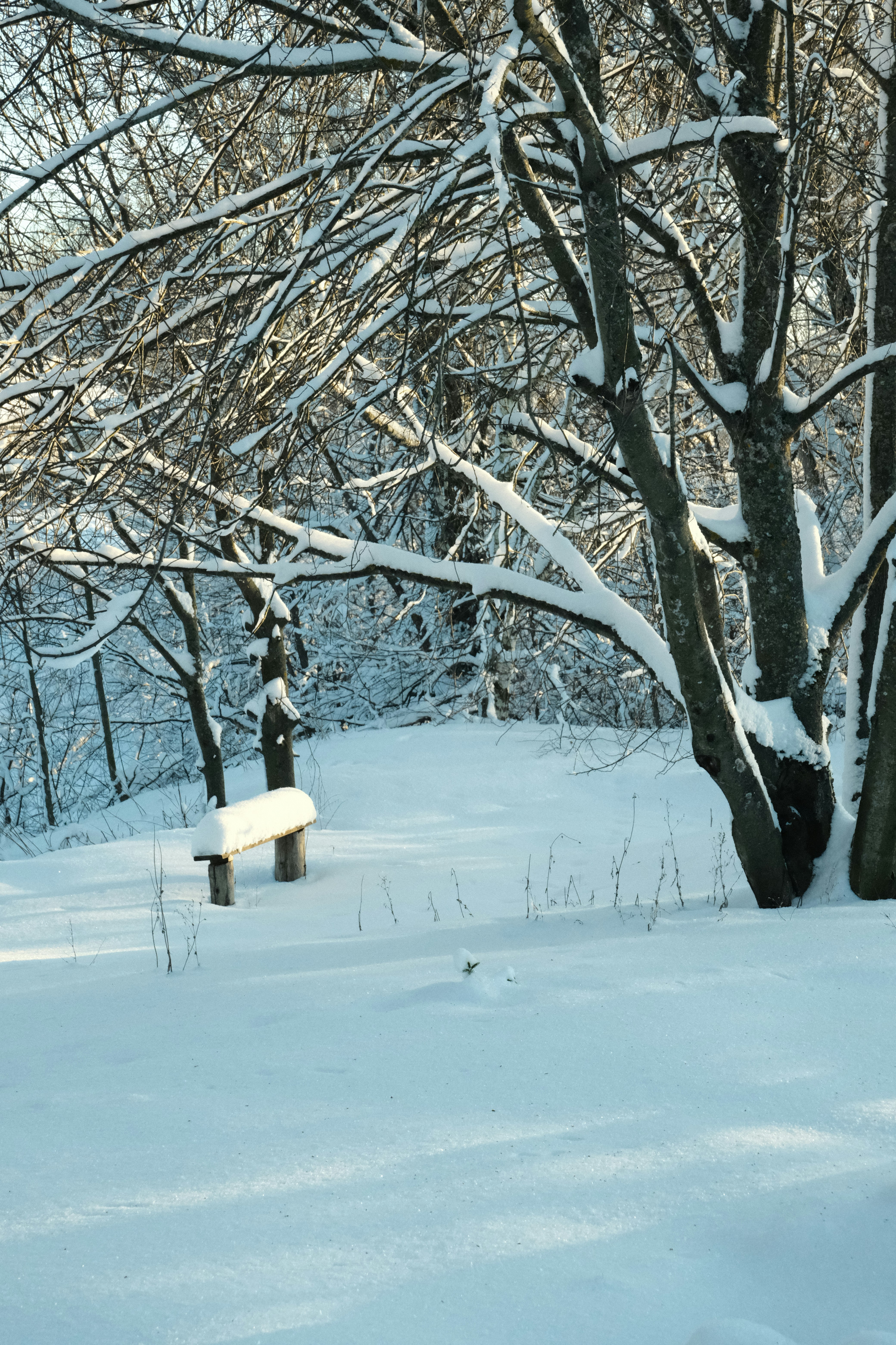 Photo by tatianarudneva