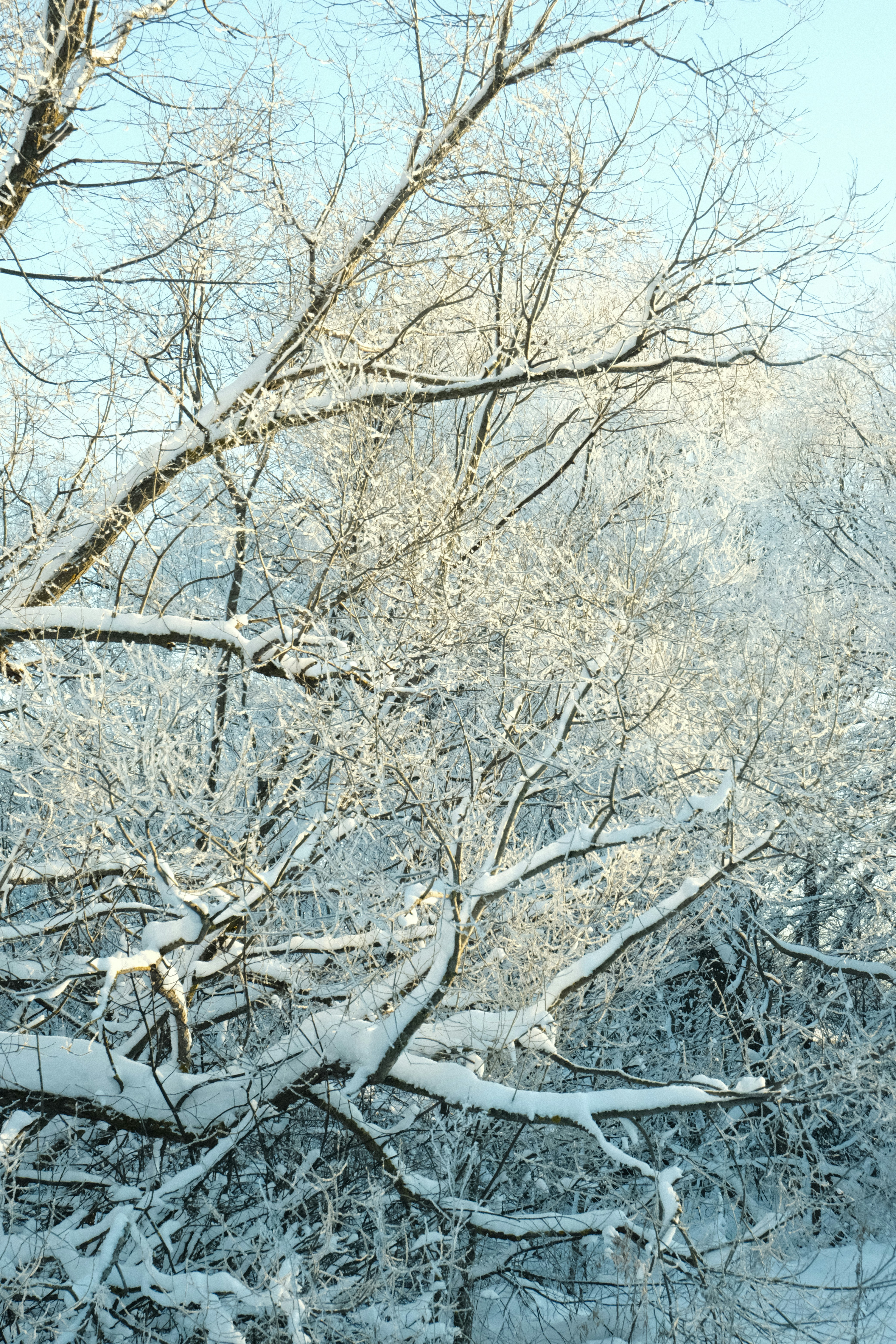 Photo by tatianarudneva