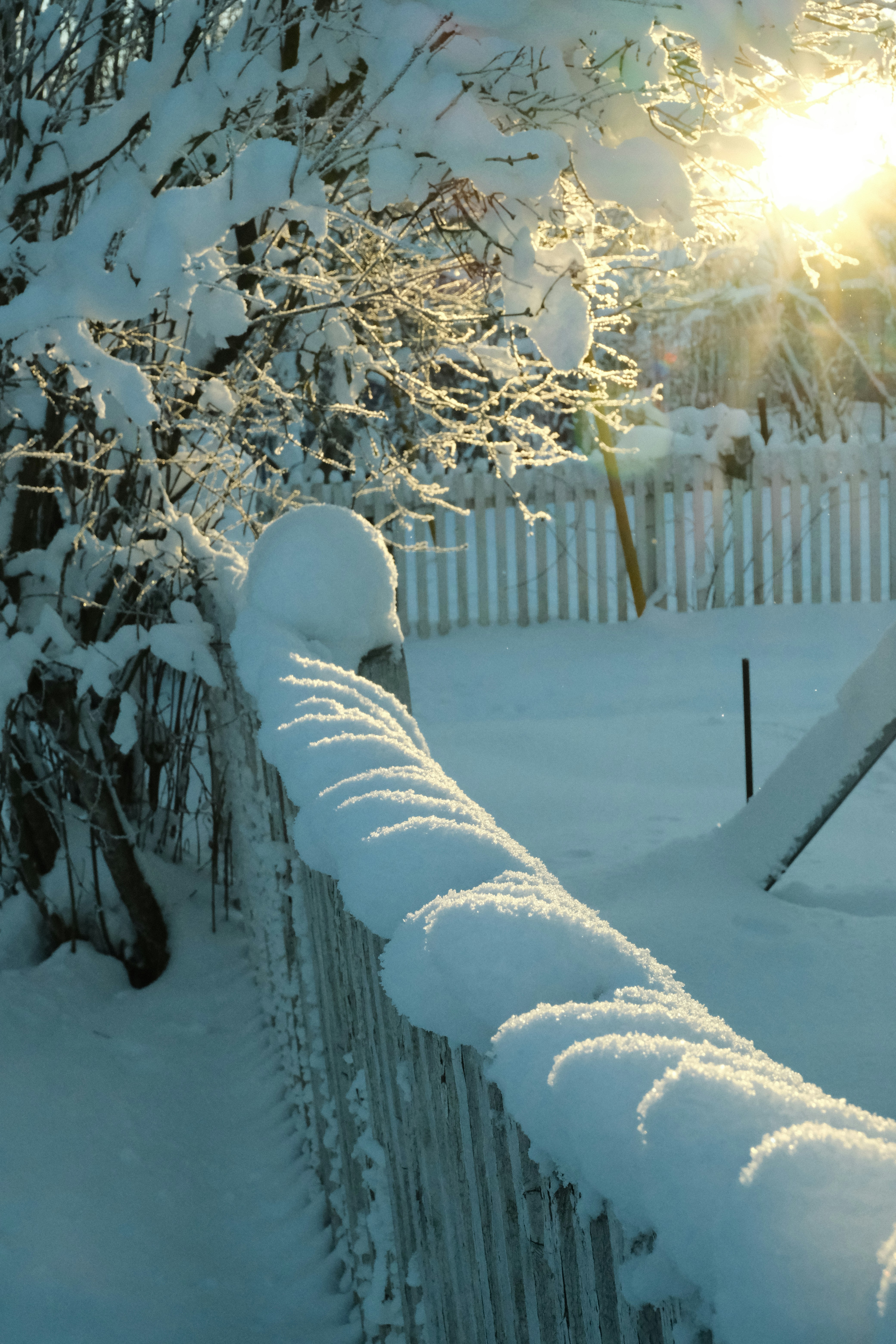 Photo by tatianarudneva