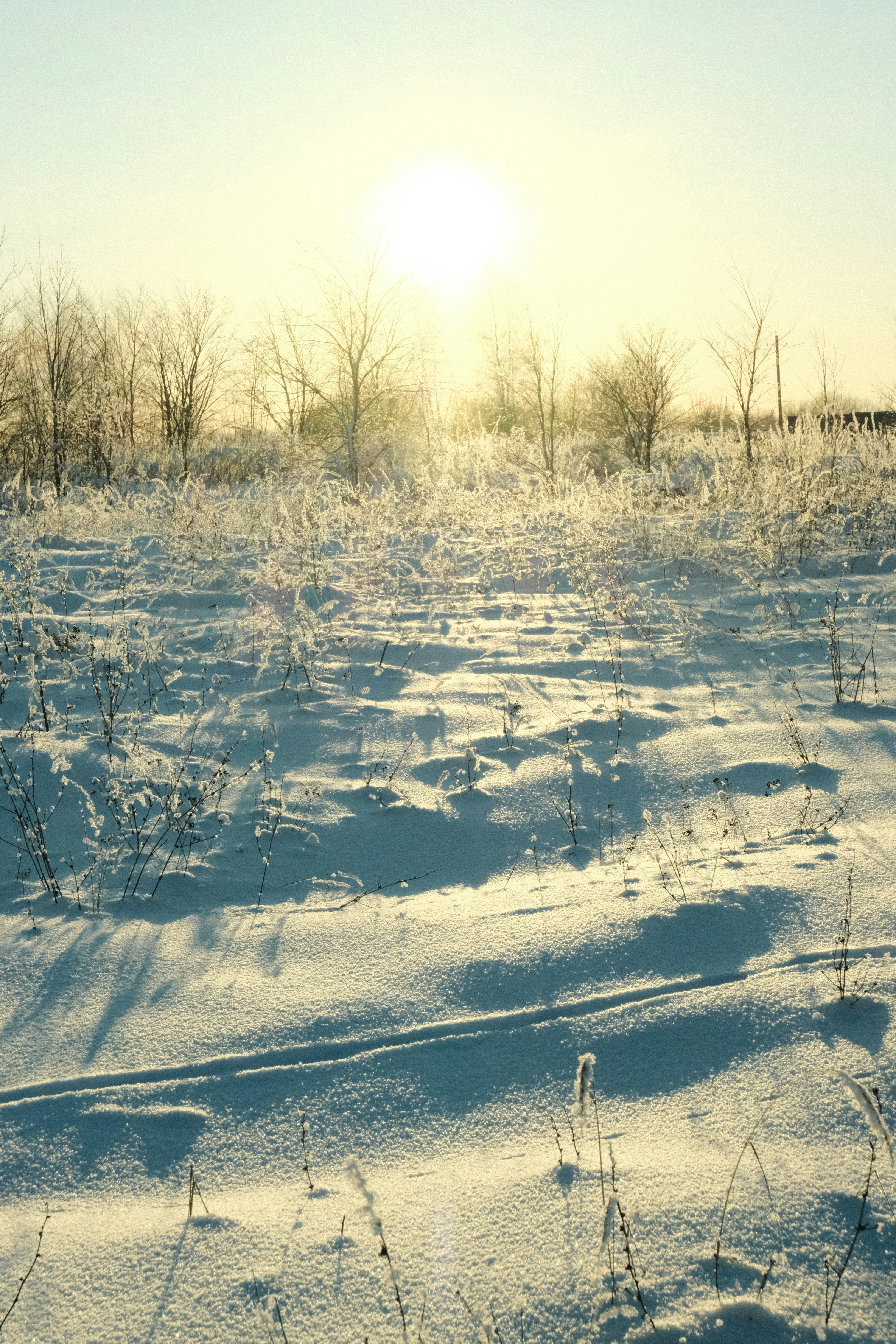 Photo by tatianarudneva