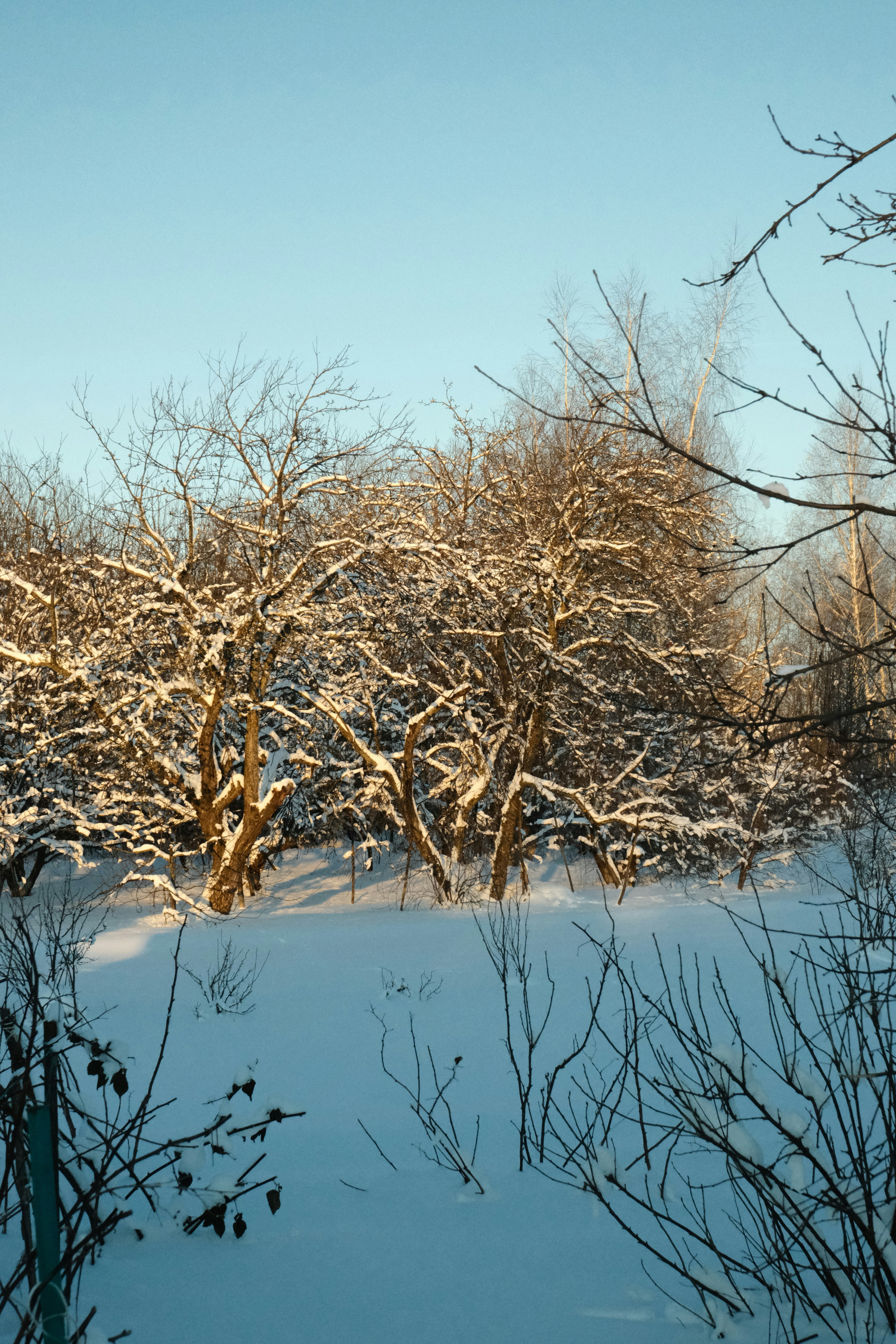 Photo by tatianarudneva