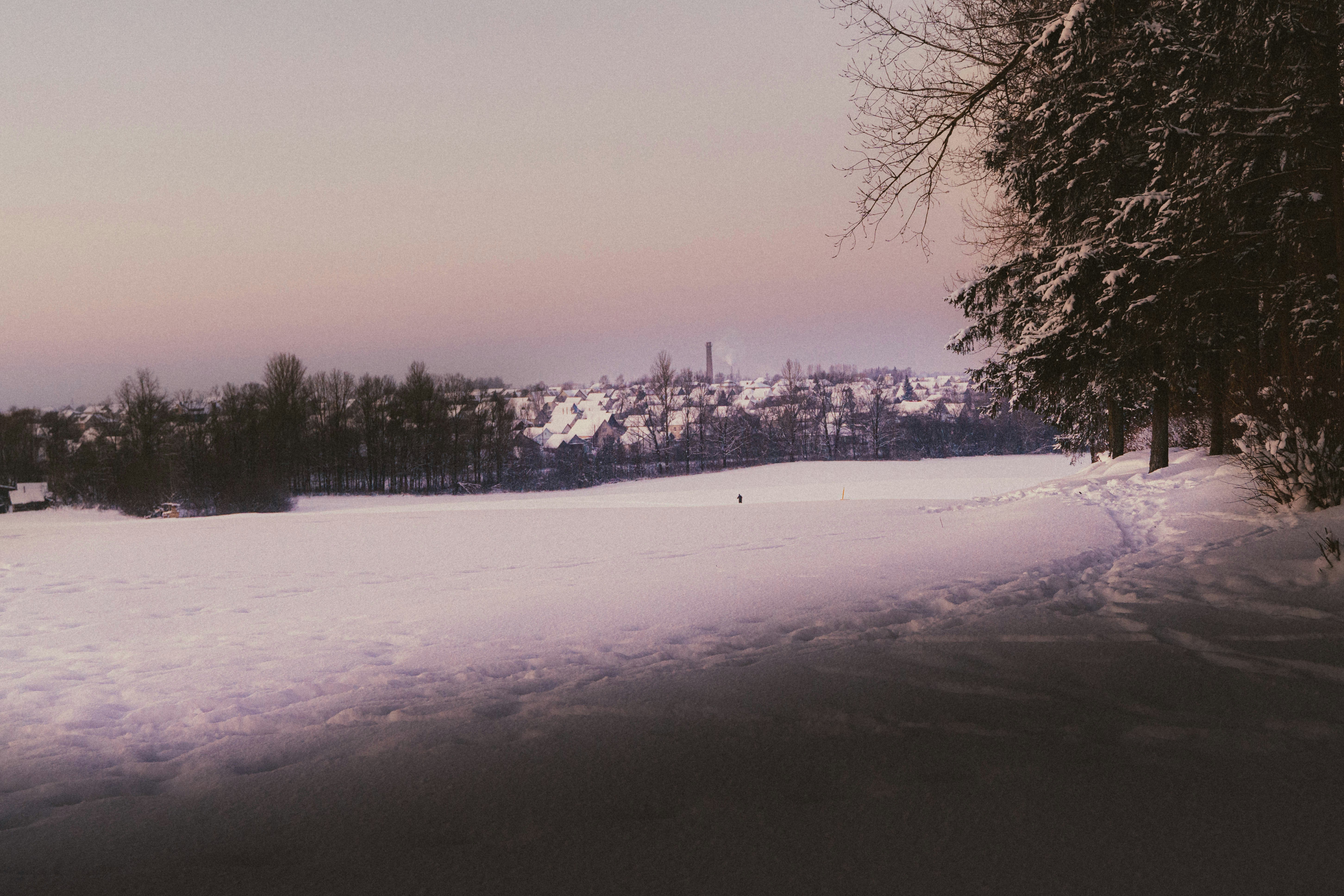 Snowy landscape with trees and a distant town.