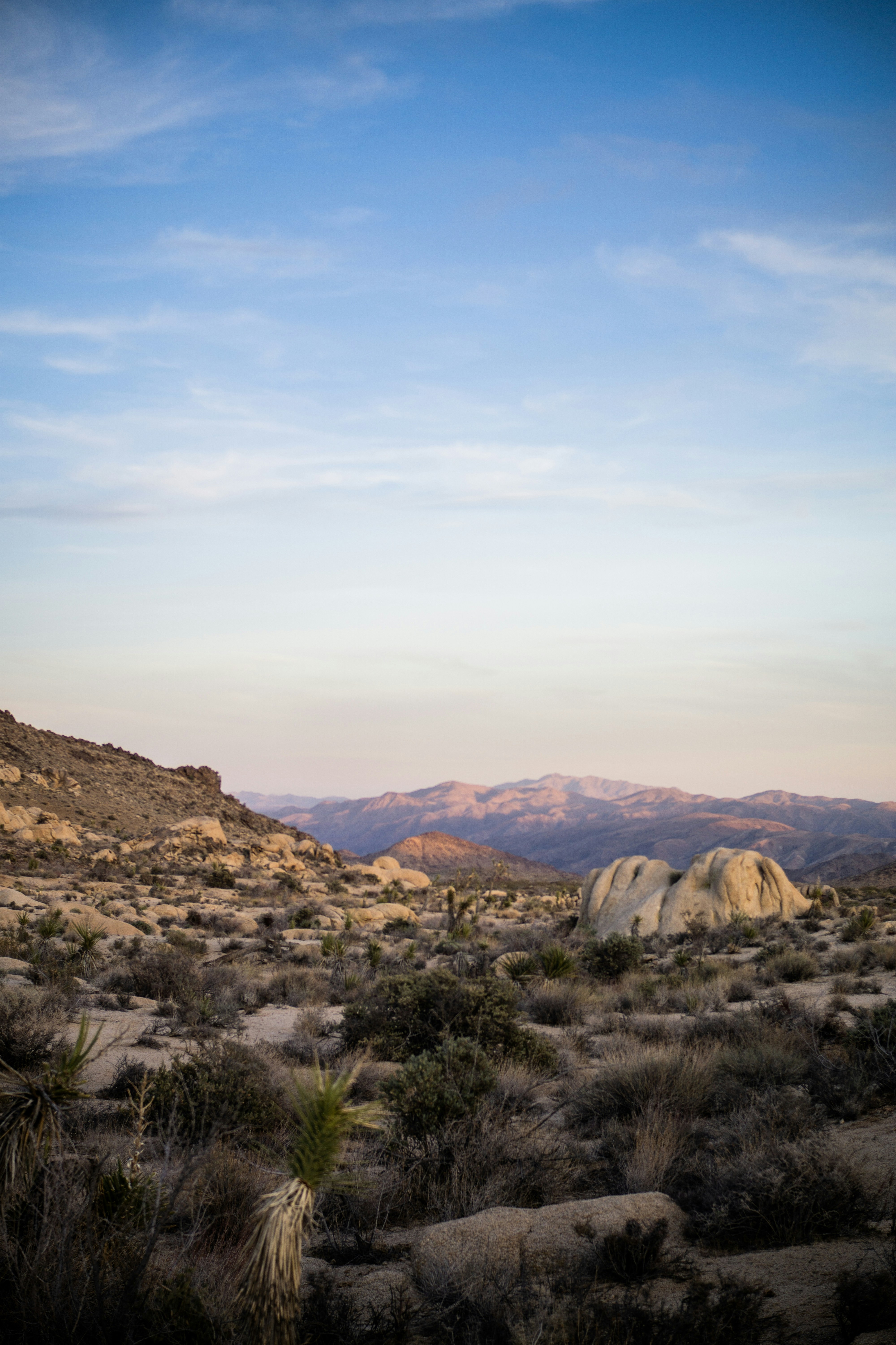 Photo by willmadestudios