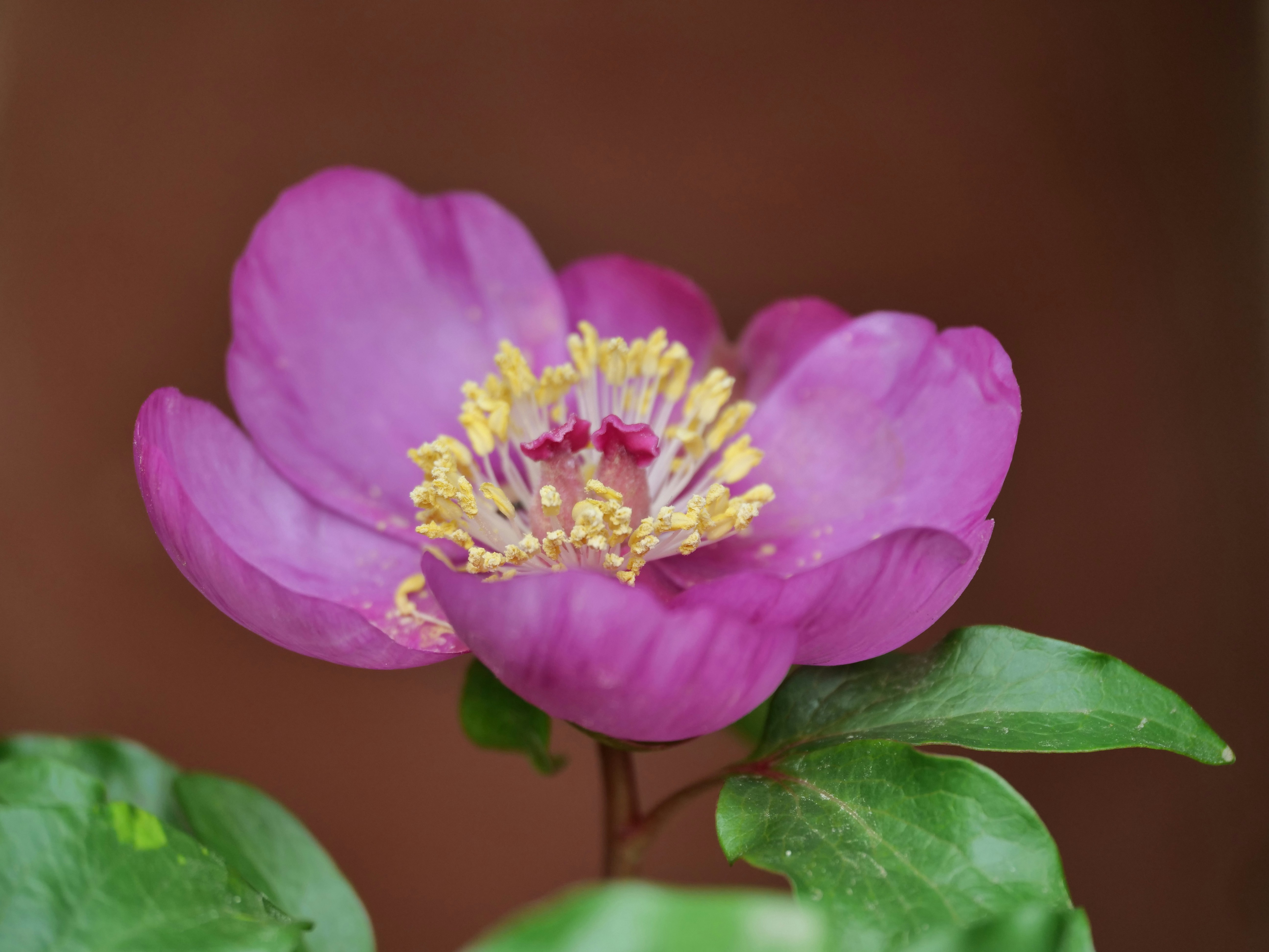 Photo by balmy_sunset