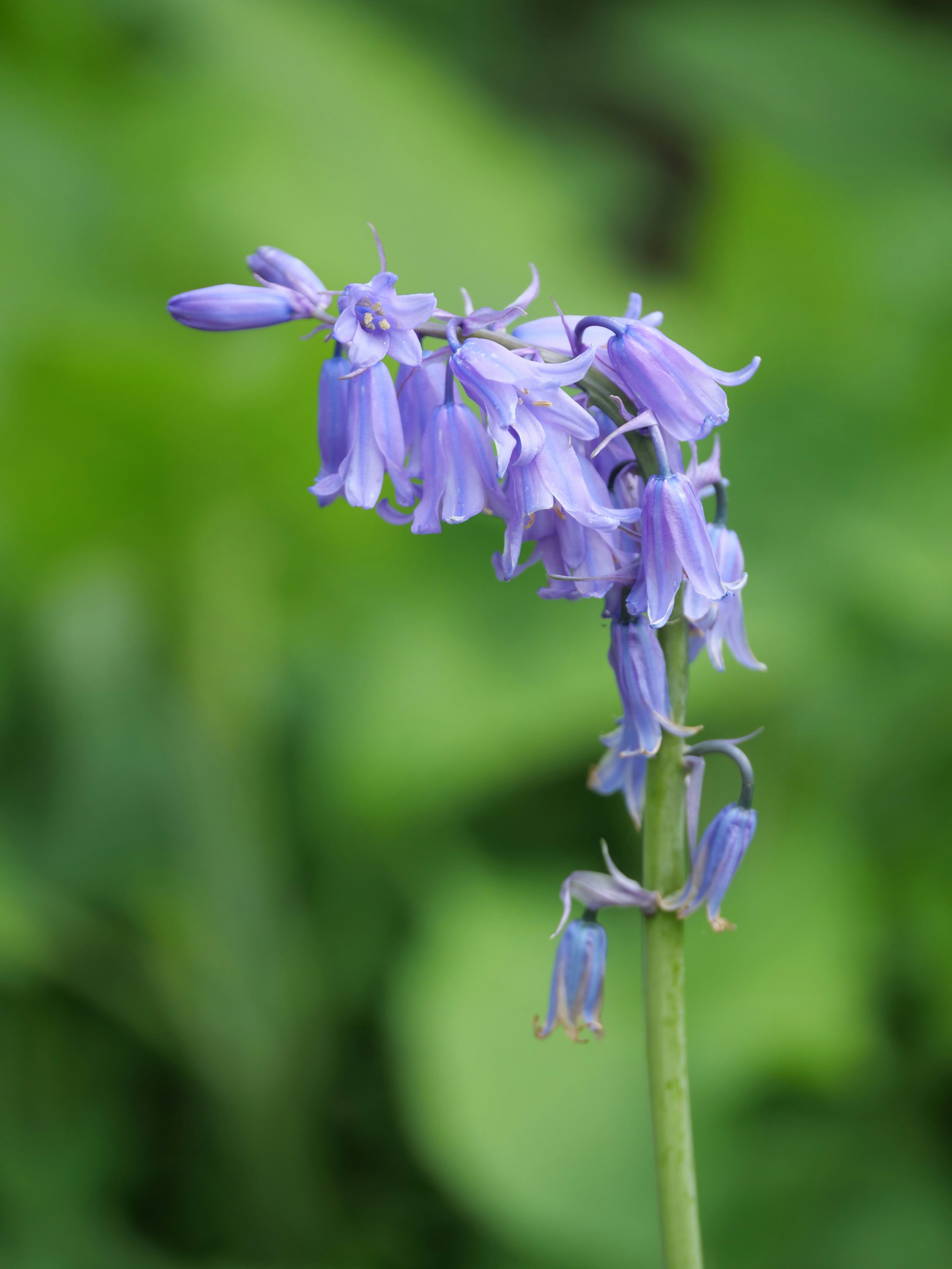 Photo by balmy_sunset