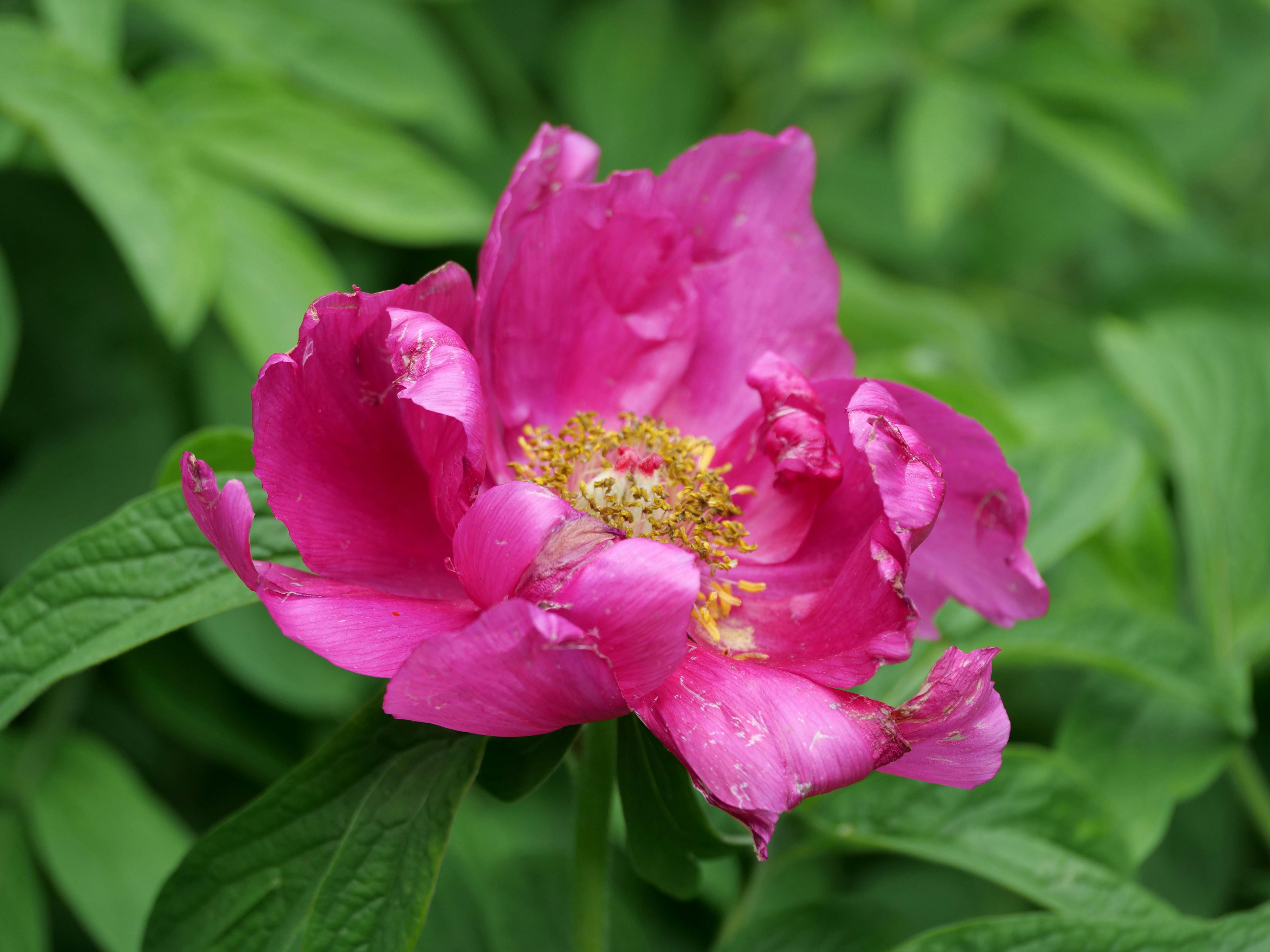 Photo by balmy_sunset