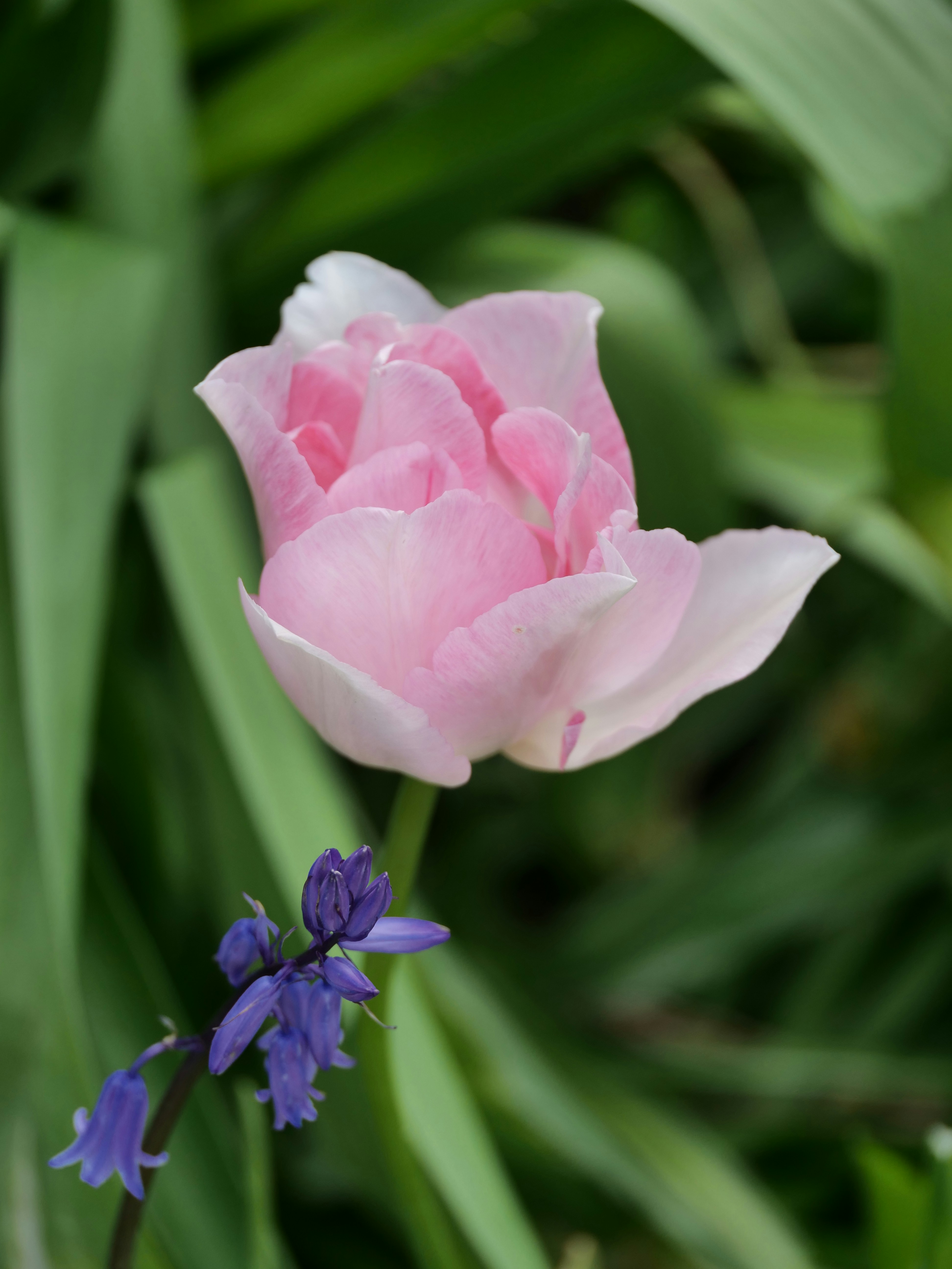 Photo by balmy_sunset