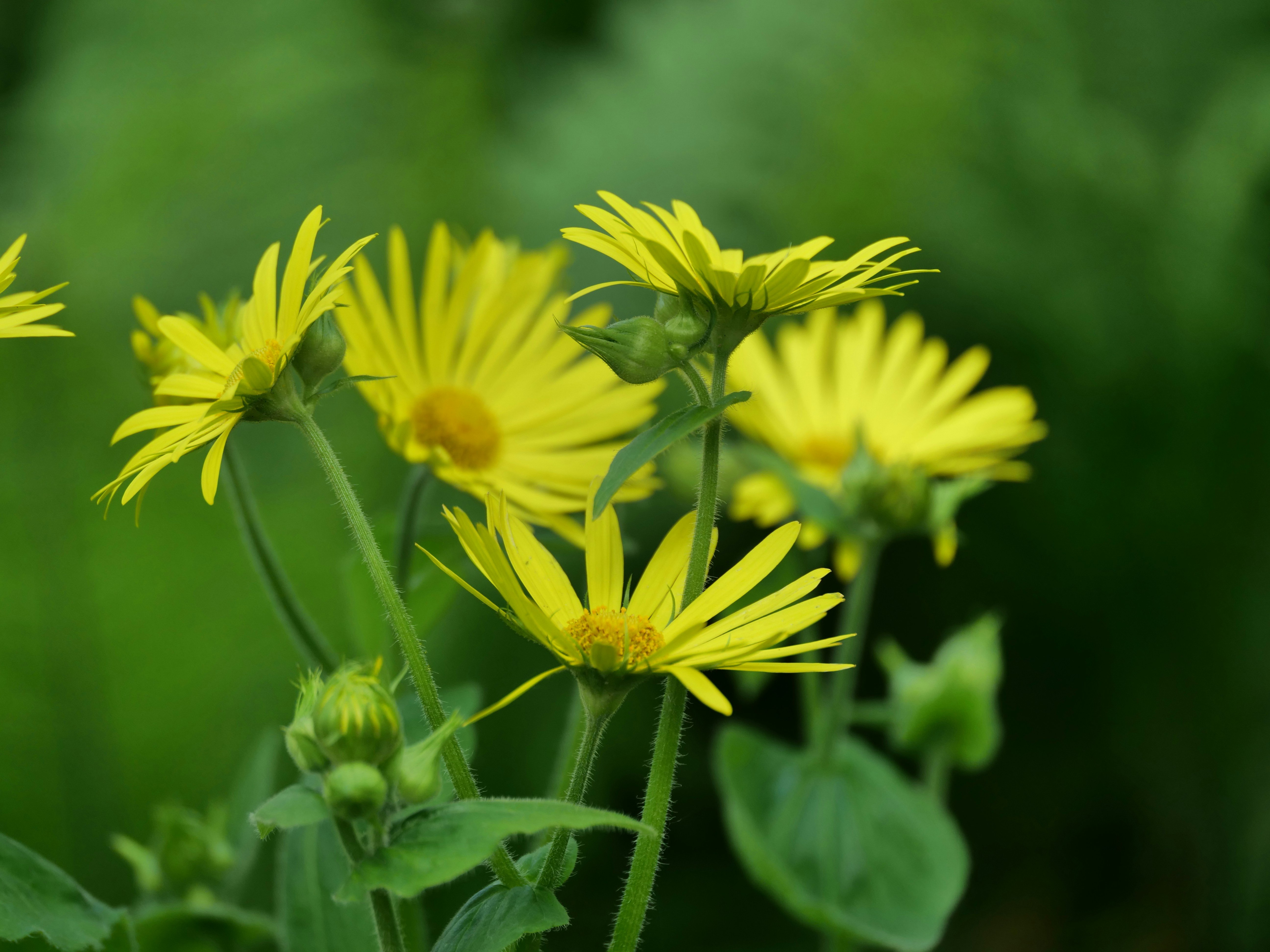 Photo by balmy_sunset