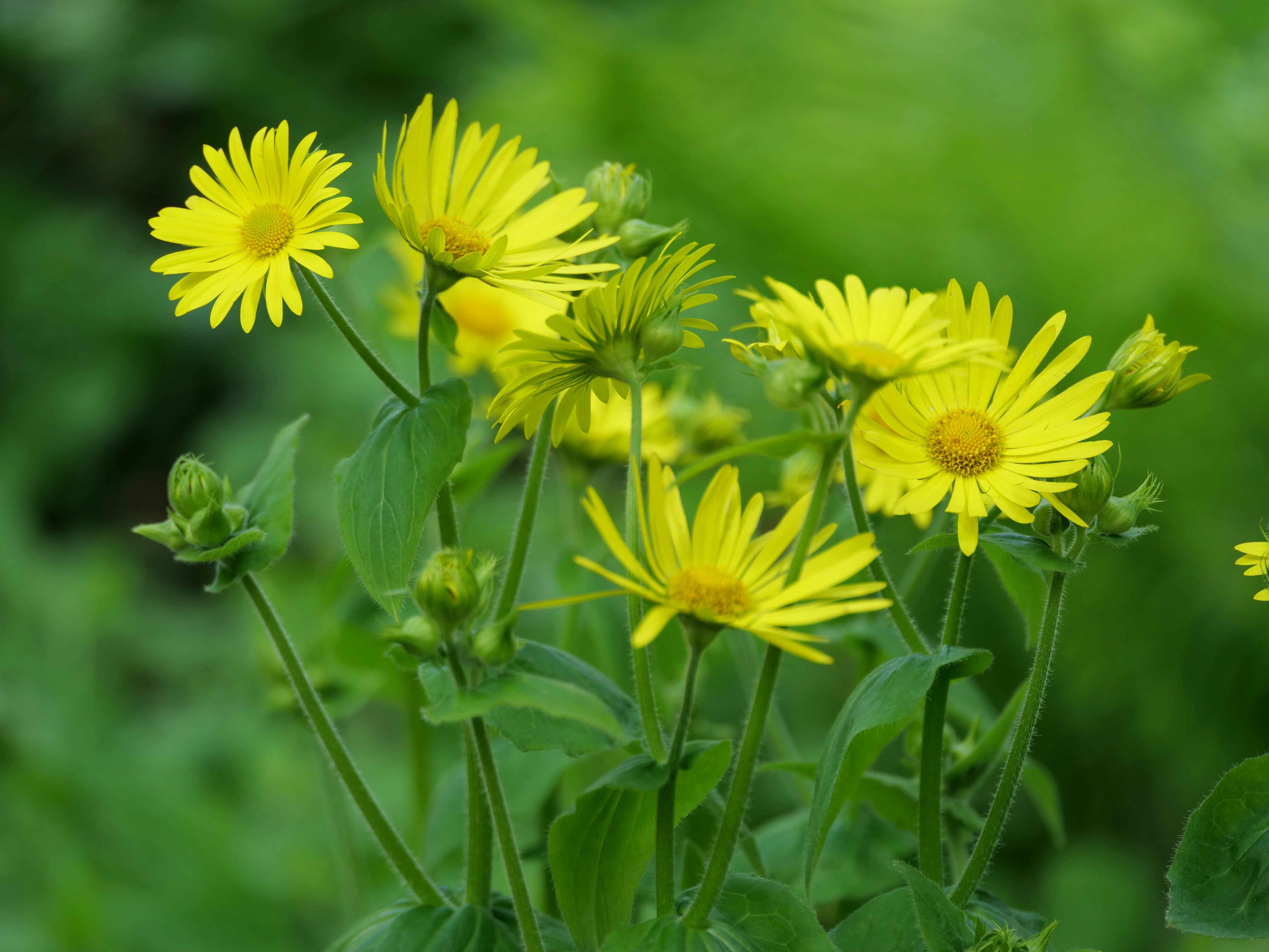 Photo by balmy_sunset